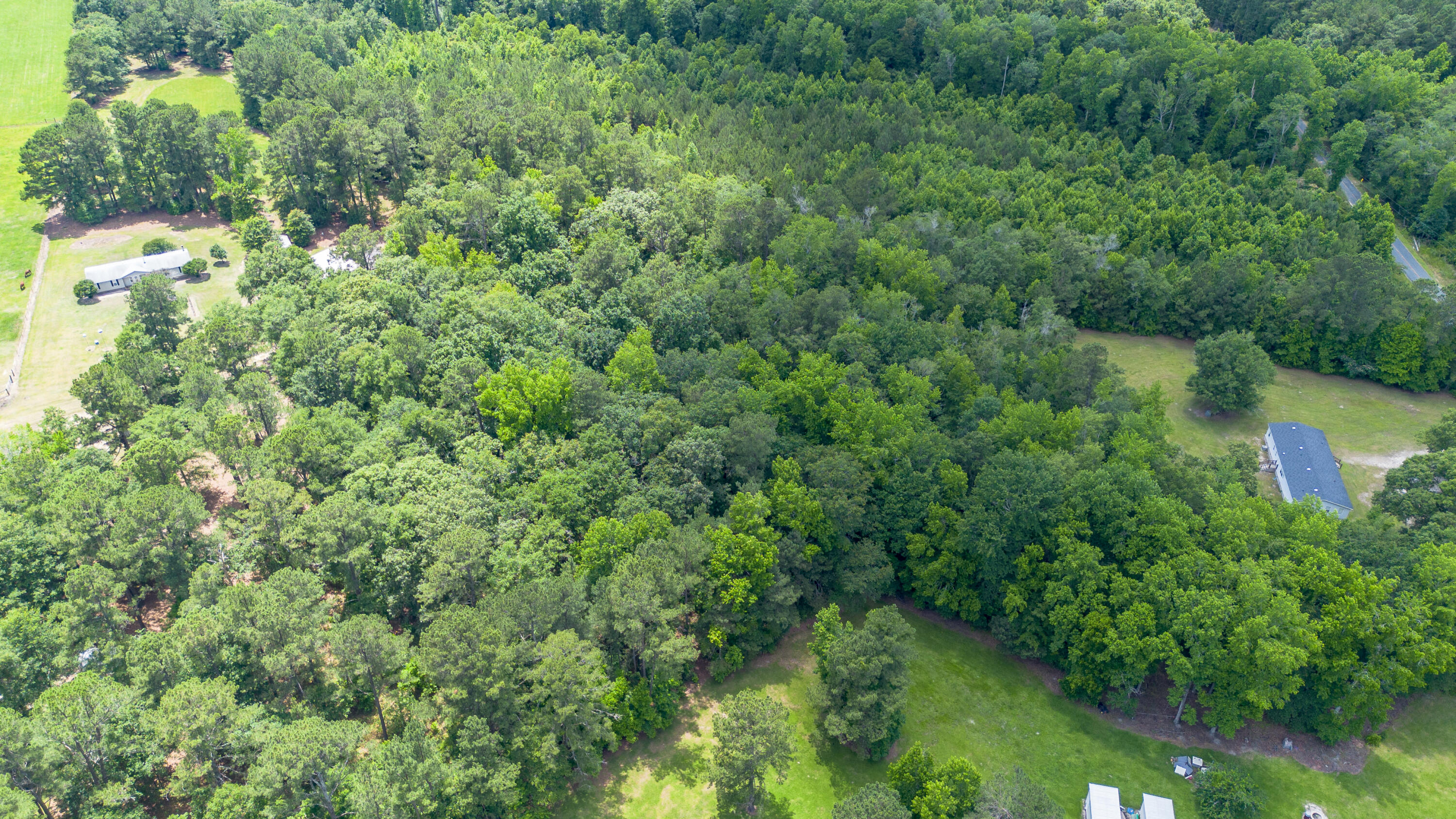 392 Harley Road