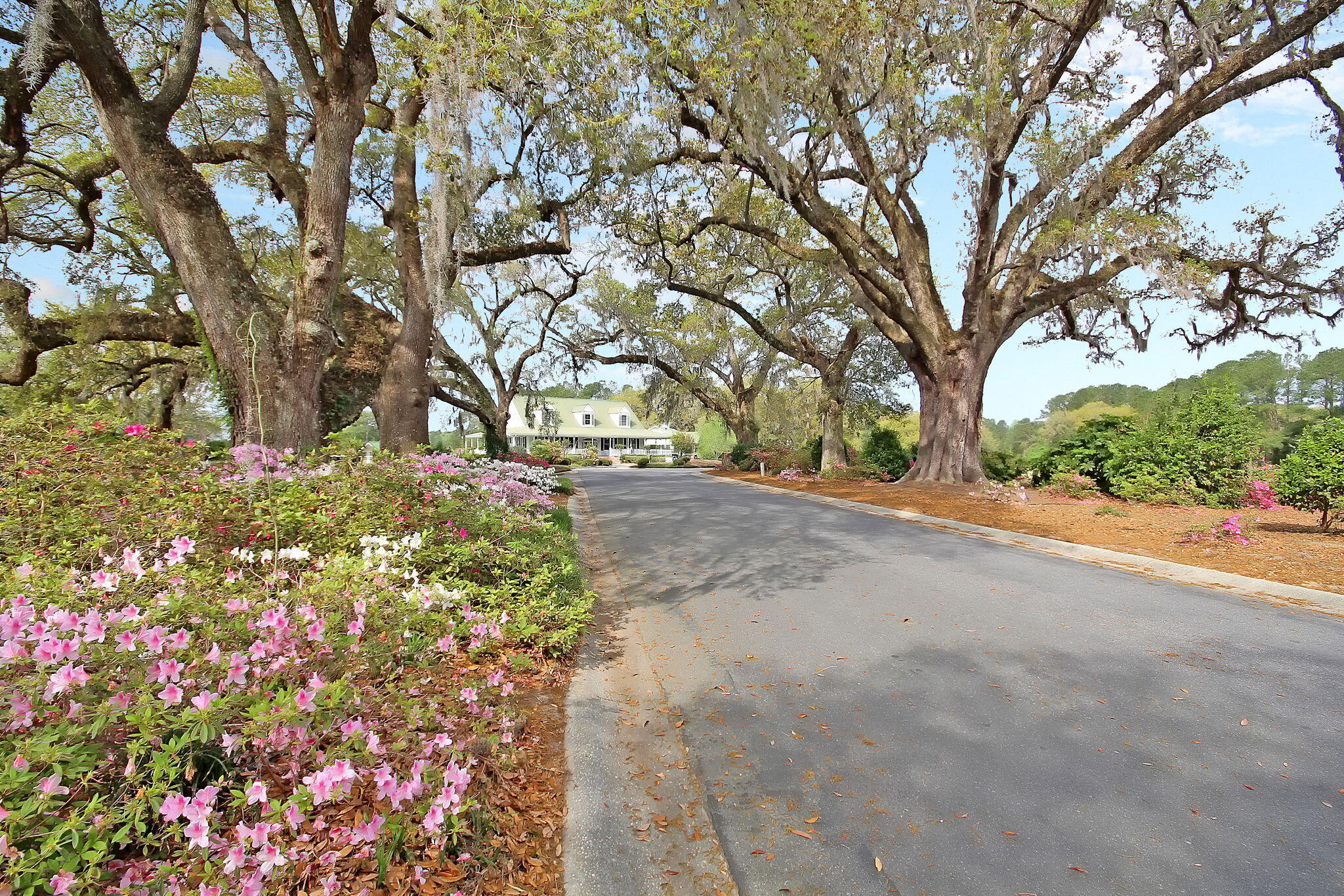 305 Oleander Way