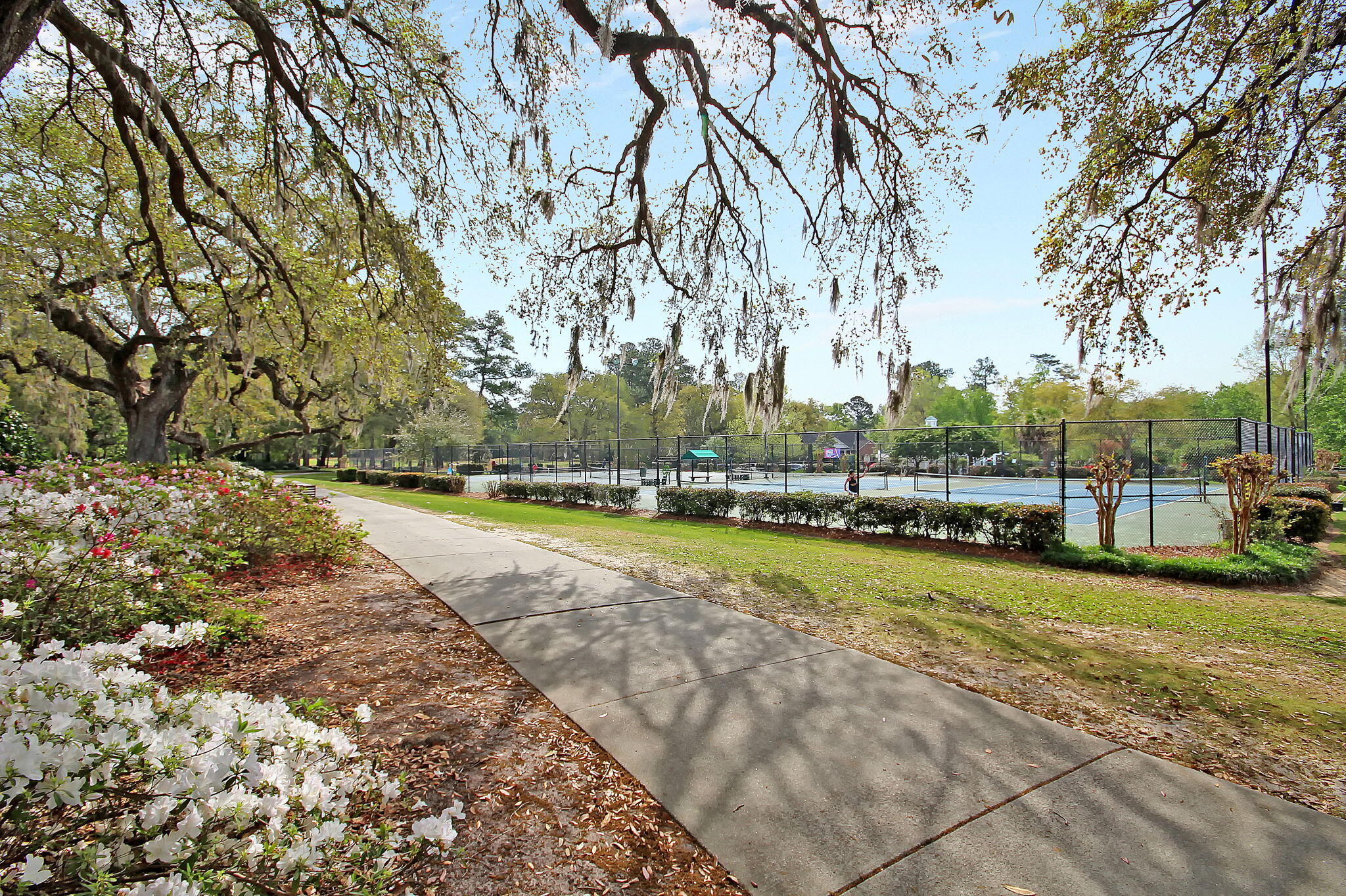 305 Oleander Way