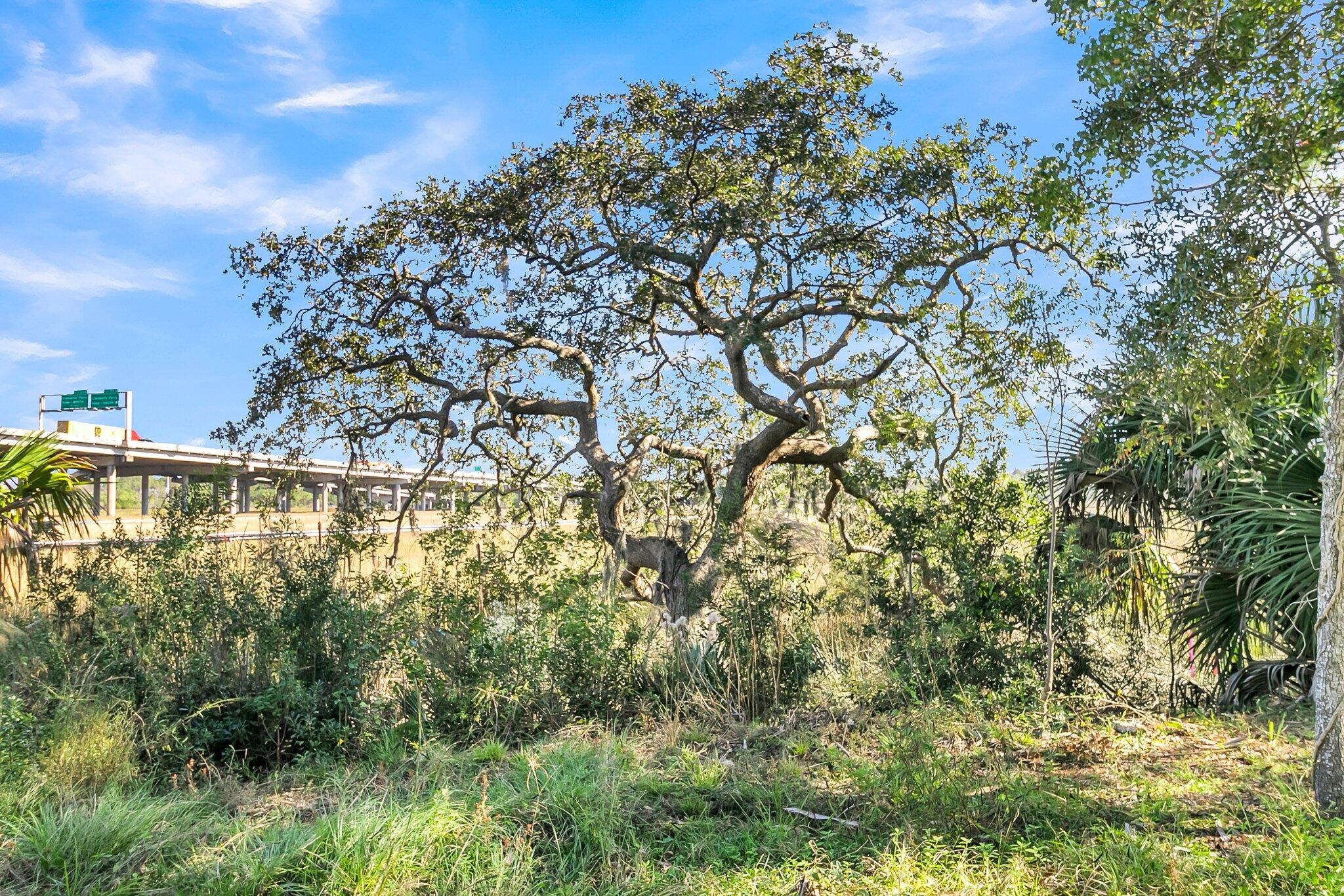 1109 Pinefield Drive