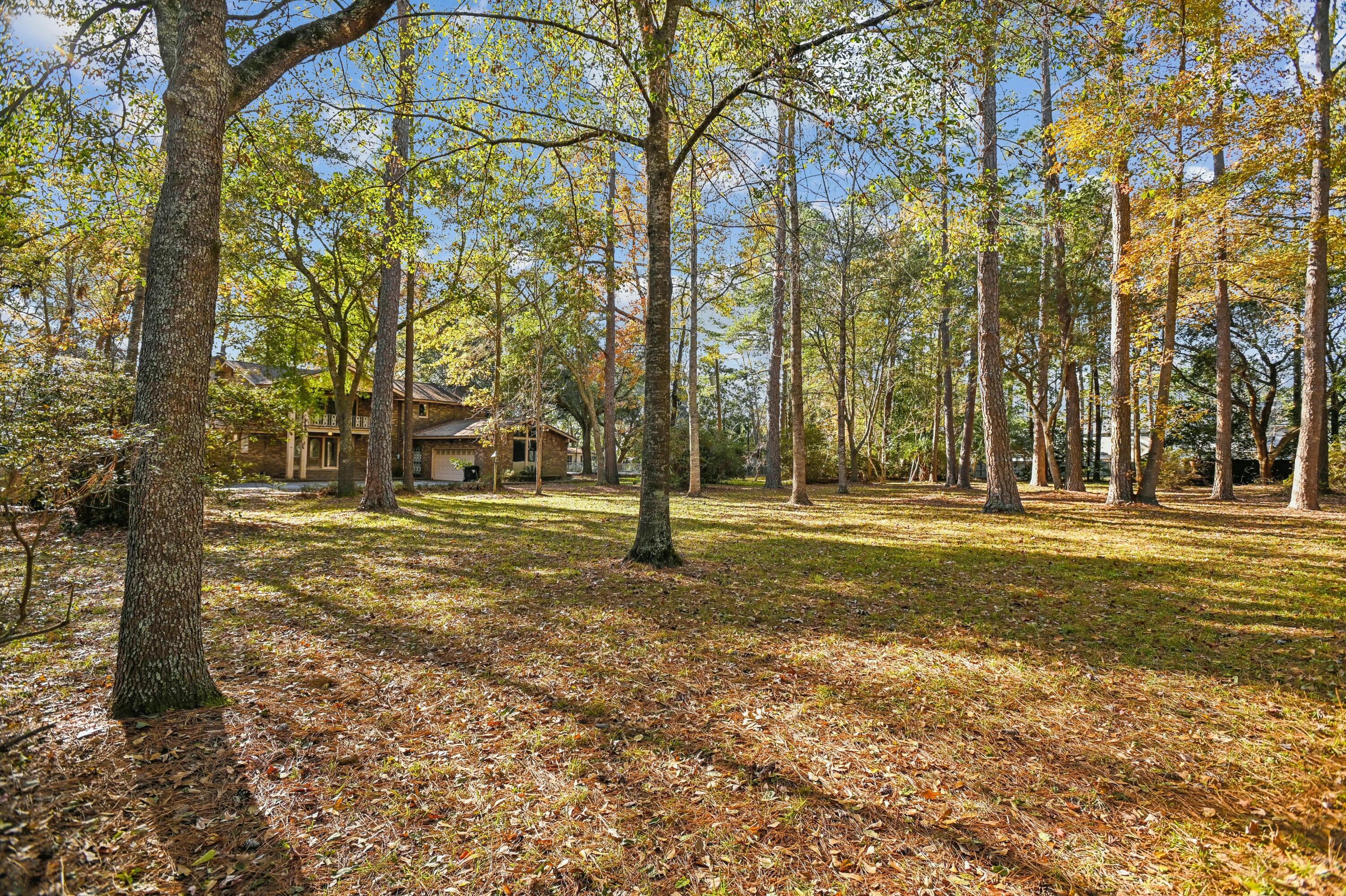 9875 Jamison Road