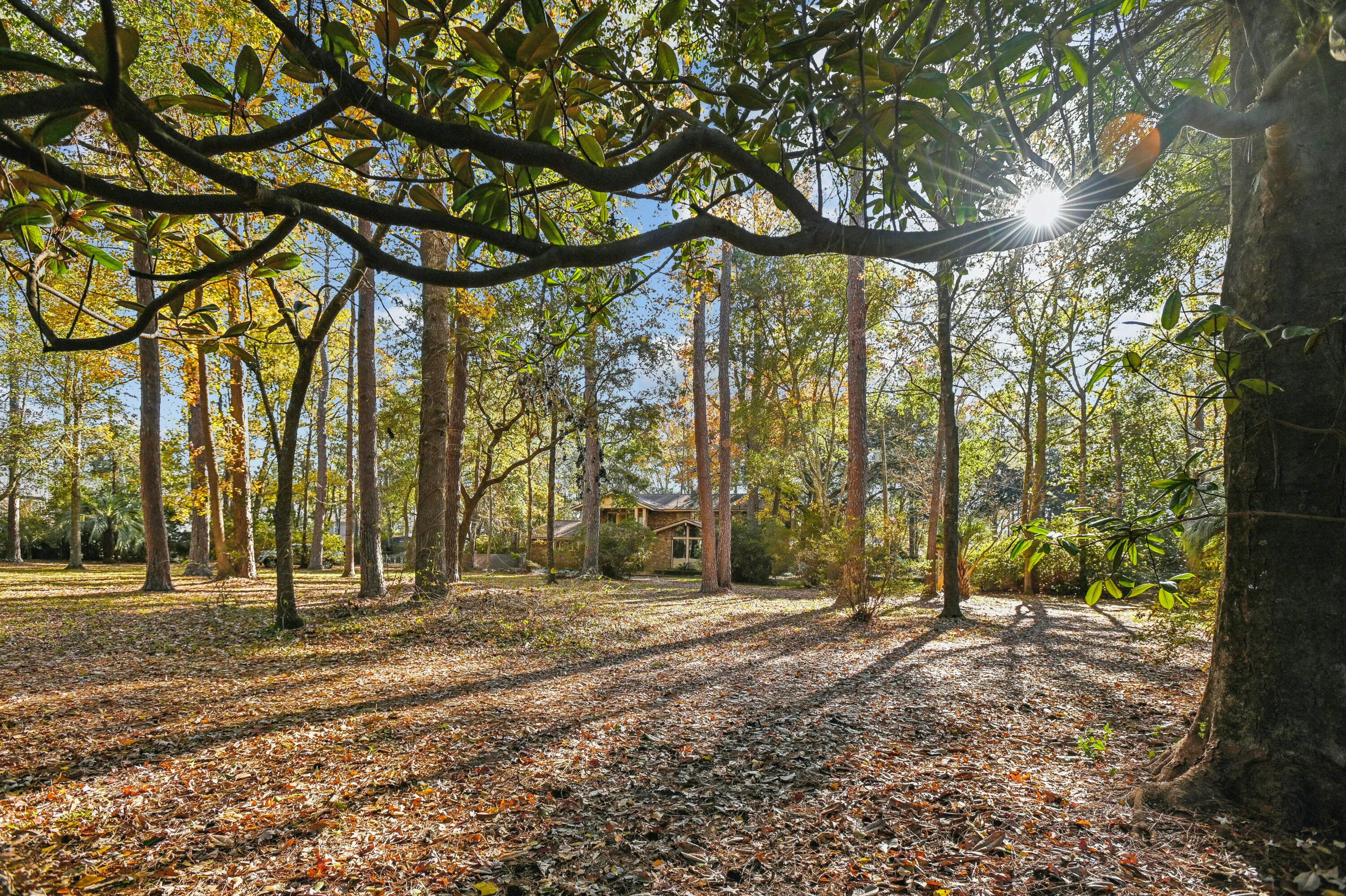 9875 Jamison Road