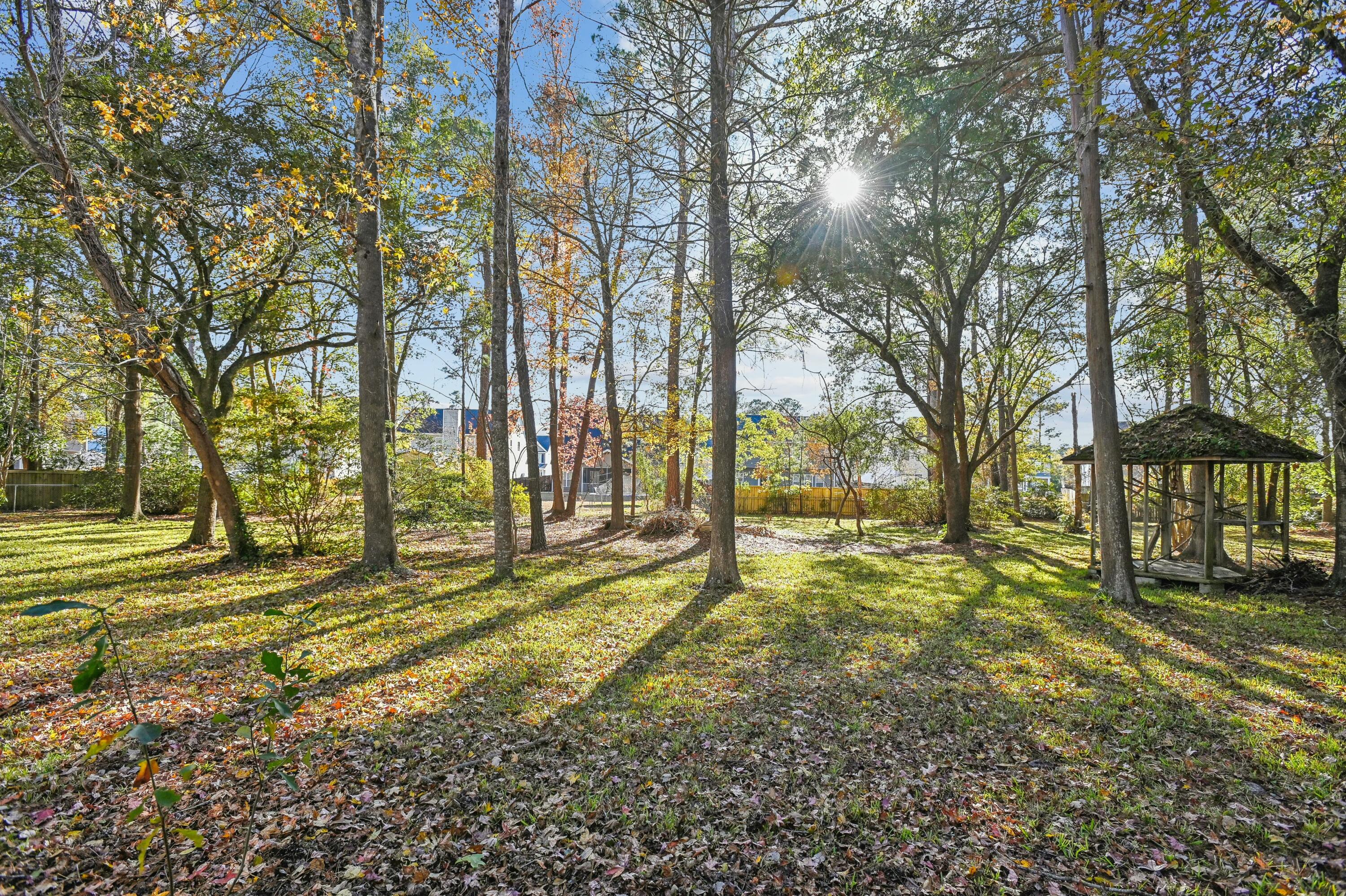 9875 Jamison Road