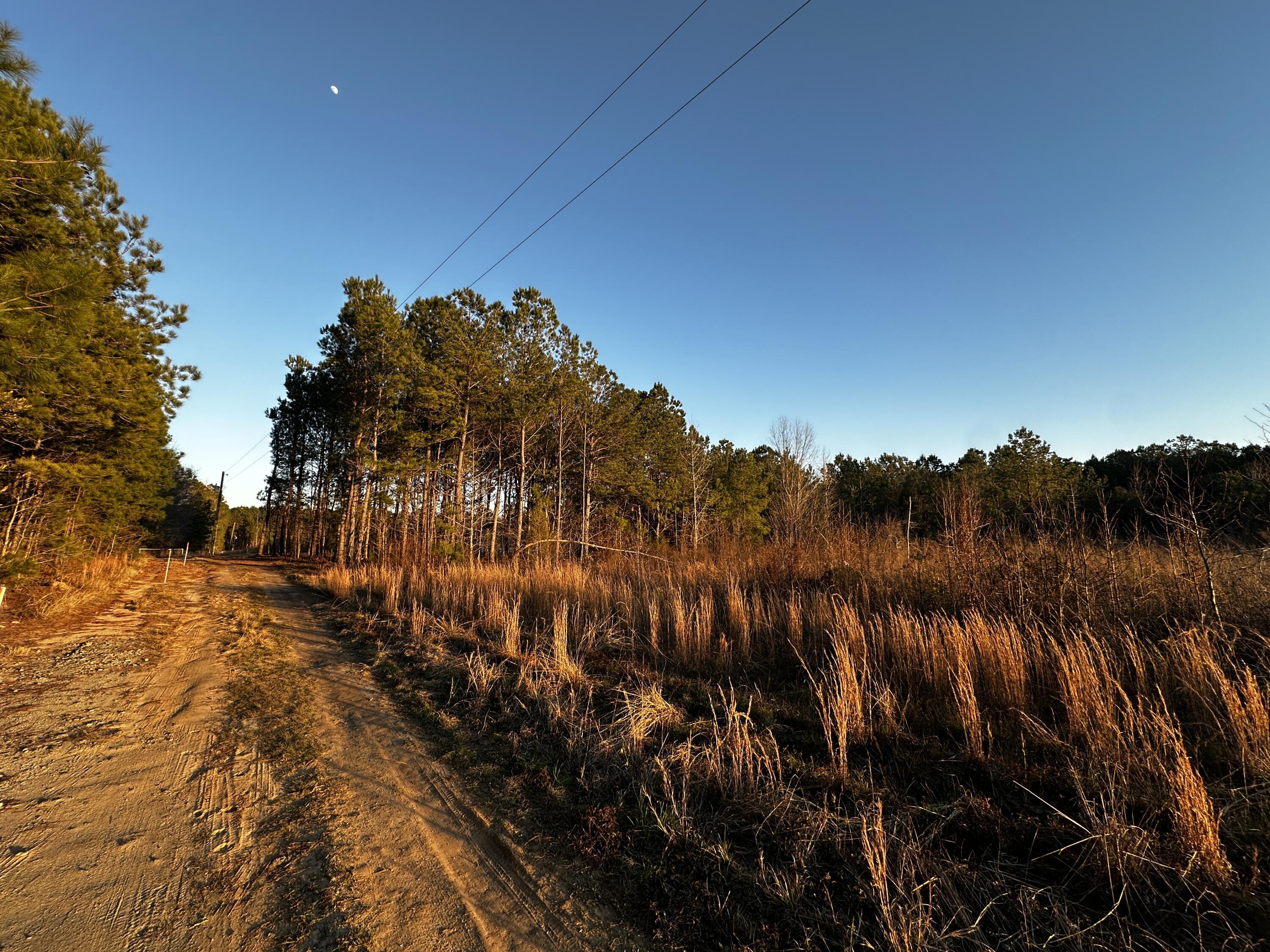 1260 Spring Plains Road