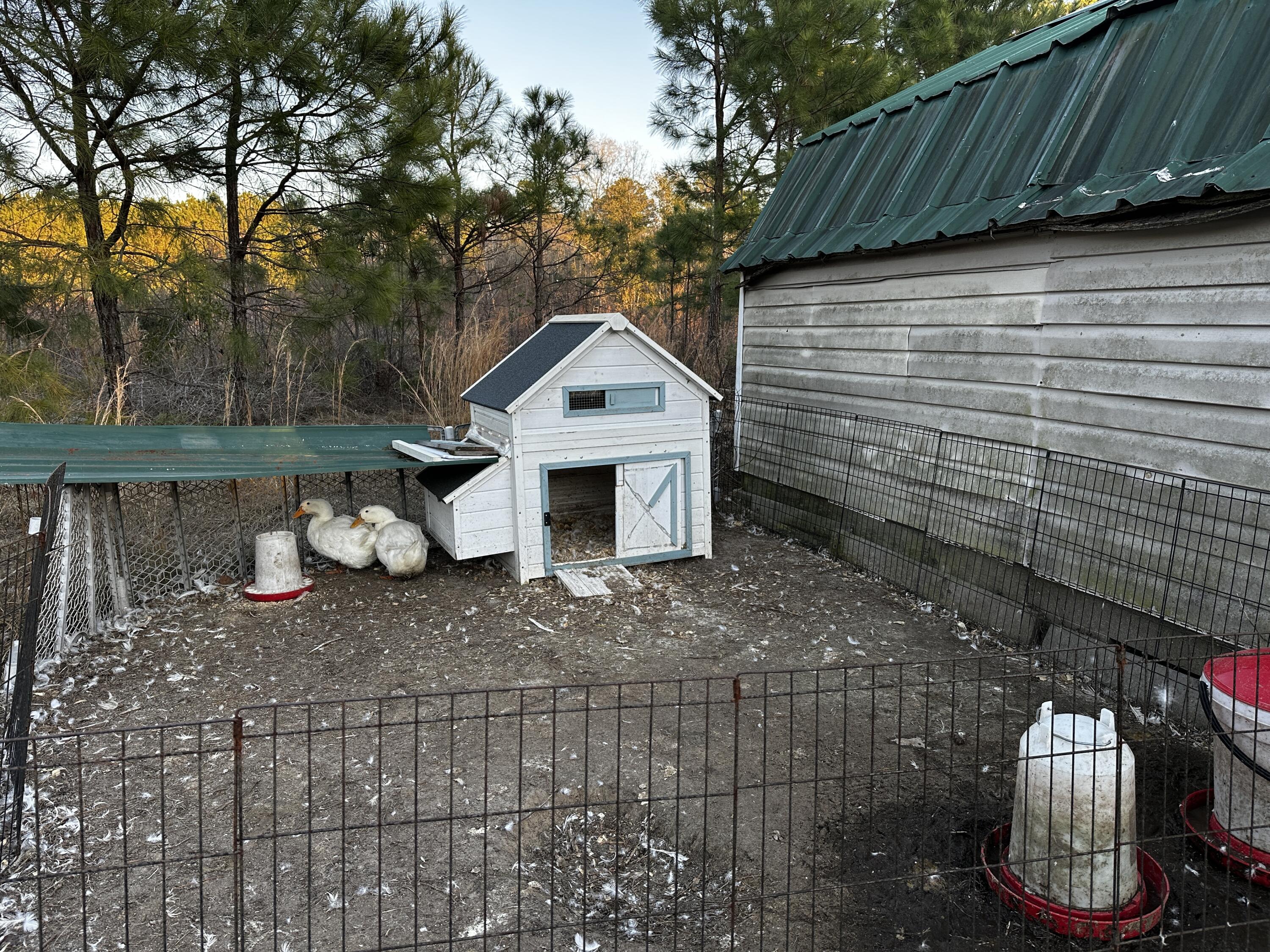 1260 Spring Plains Road