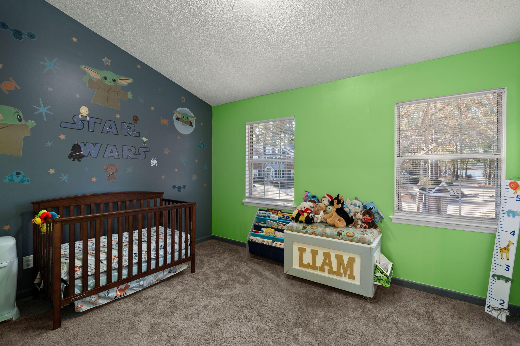 509 Reserve Way, Summerville