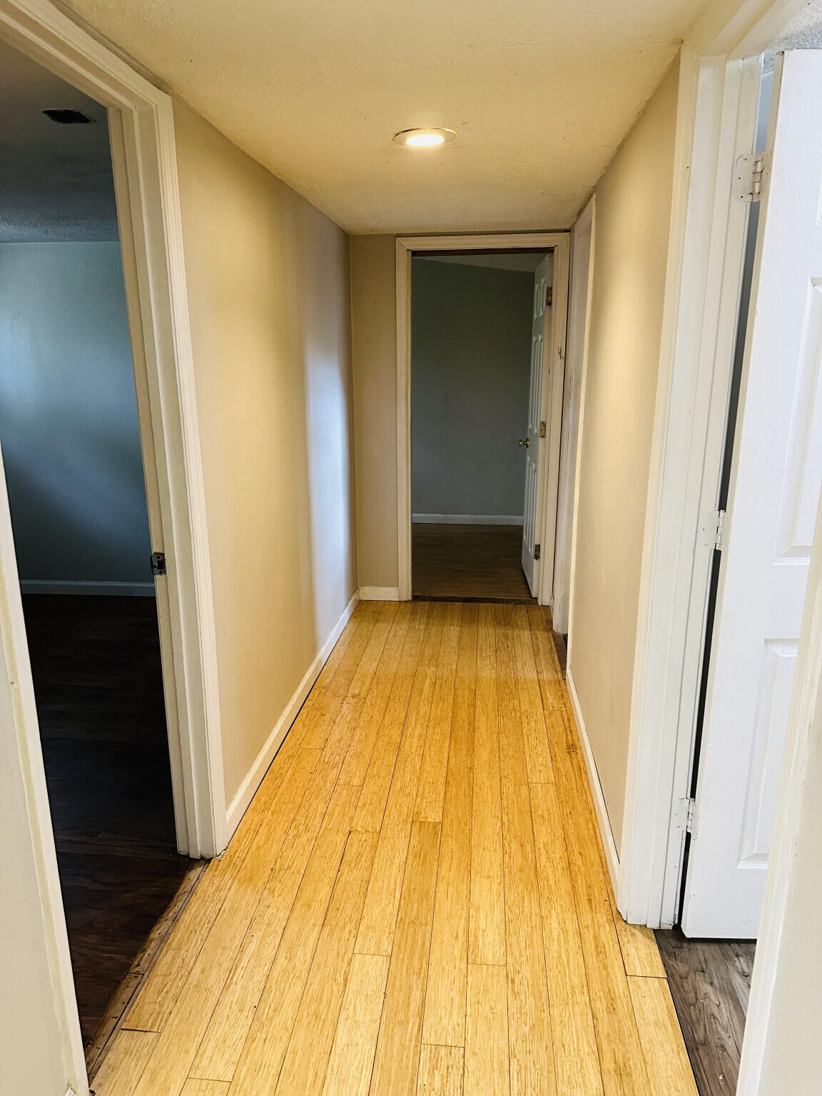 334 E Poplar Branch Drive