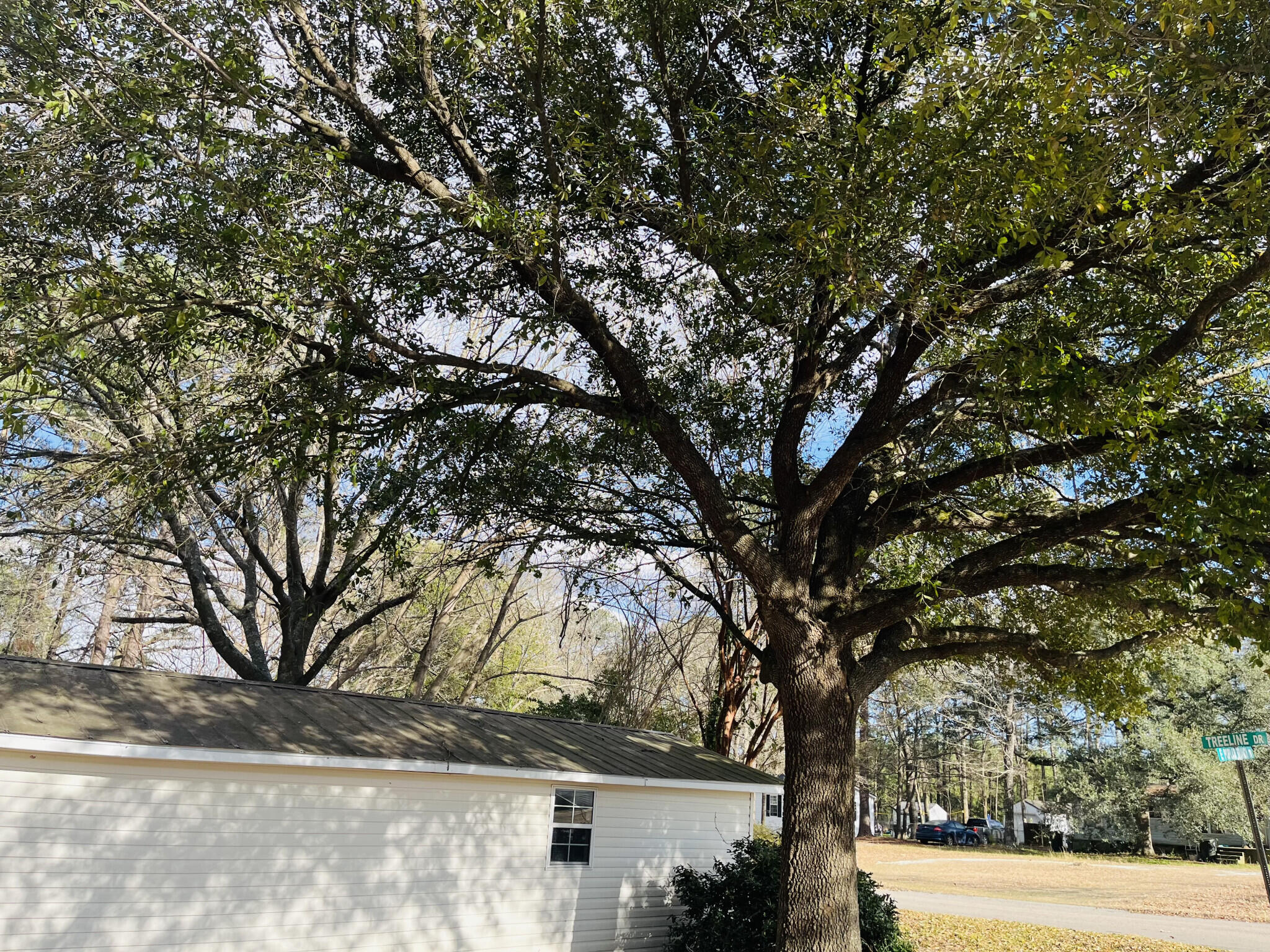 334 E Poplar Branch Drive