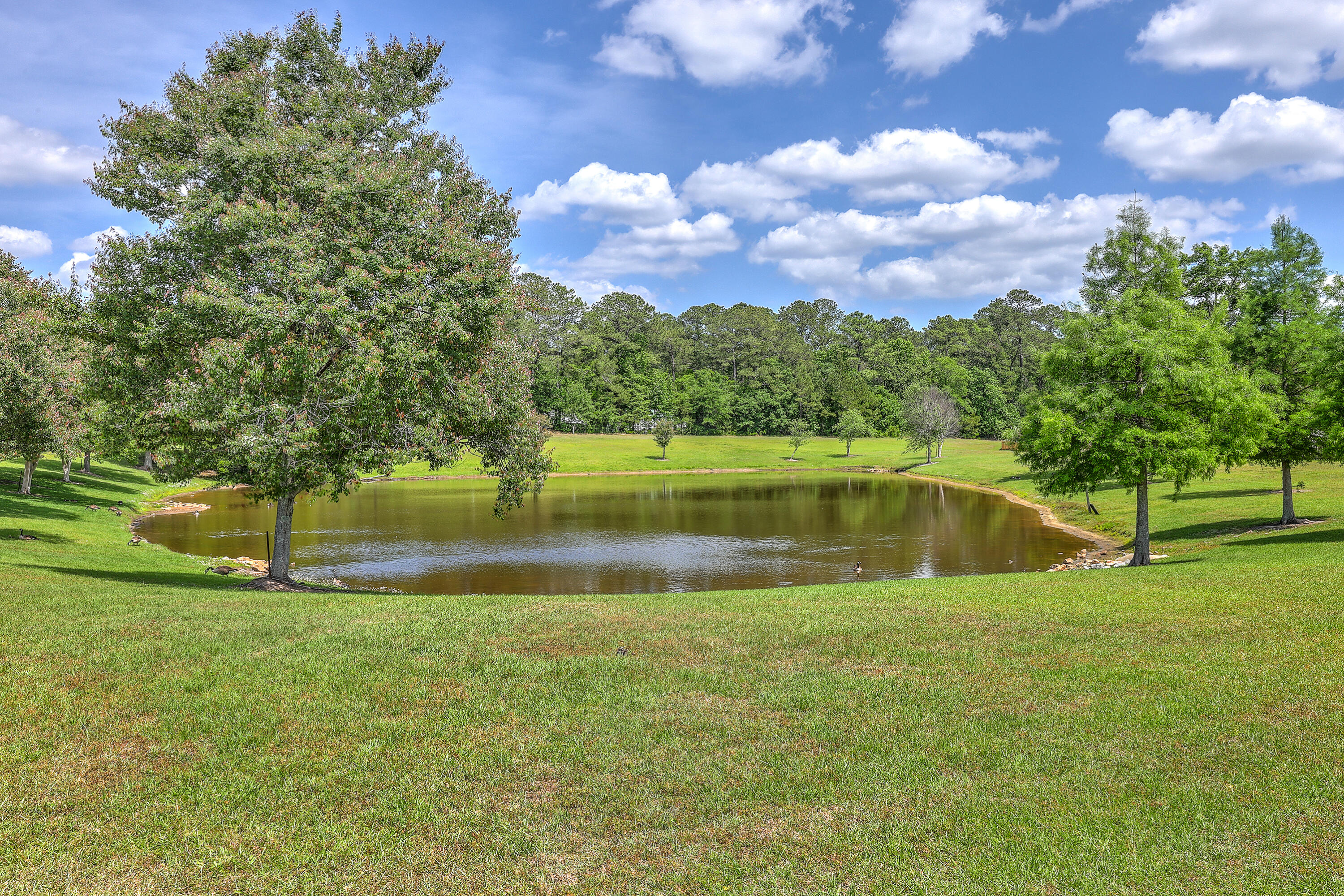 5032 Ballantine Drive