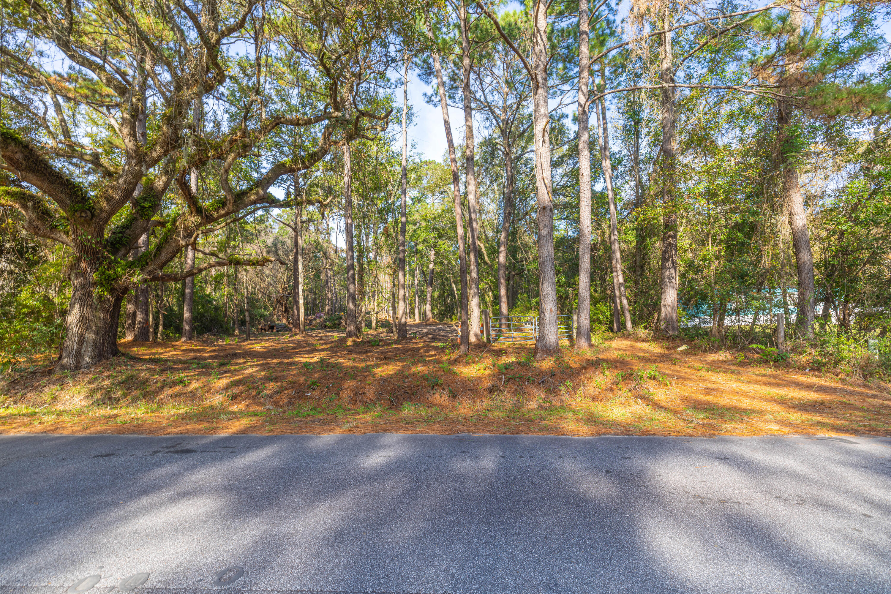746 Dupre Road, McClellanville