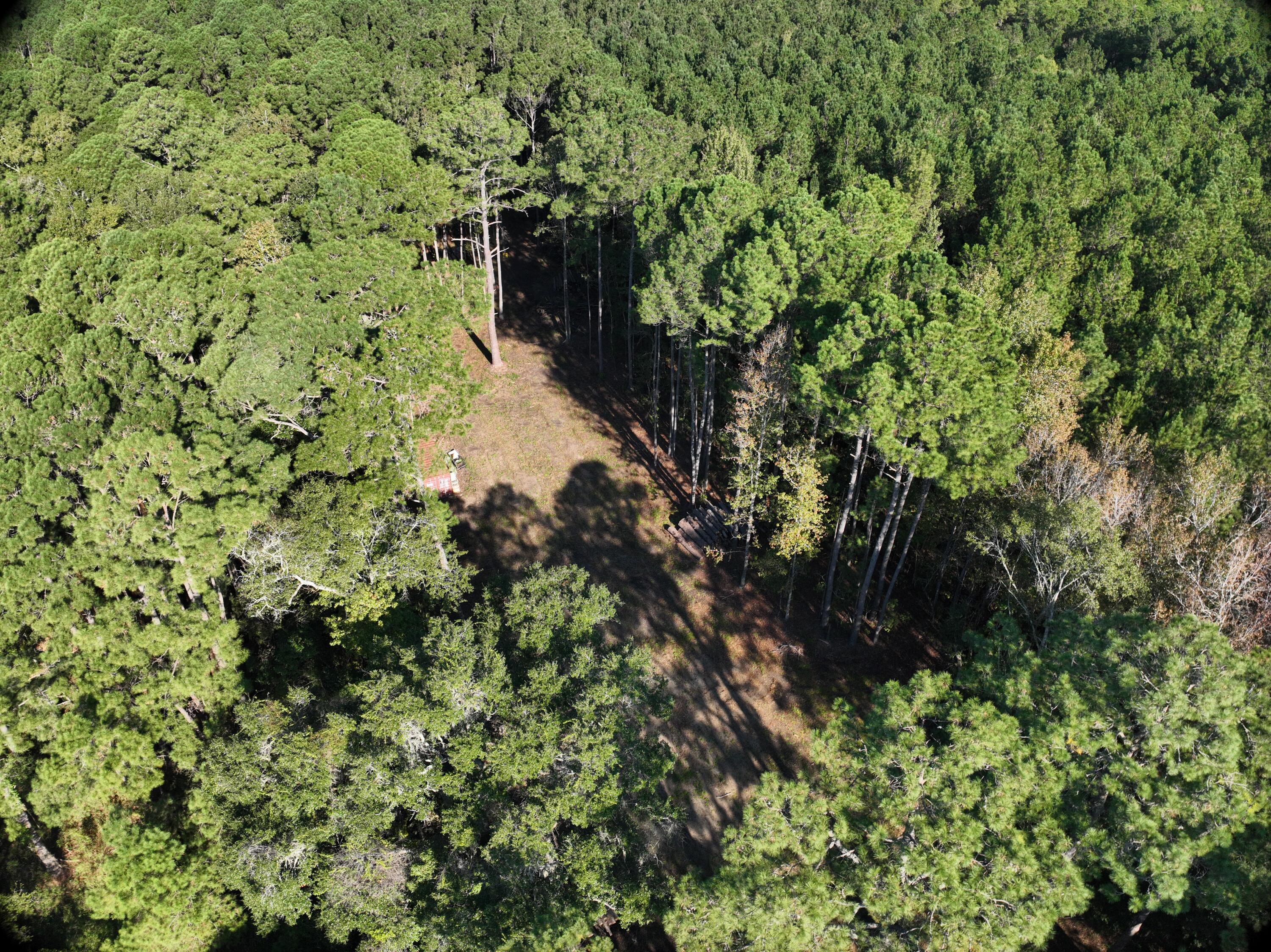 746 Dupre Road, McClellanville