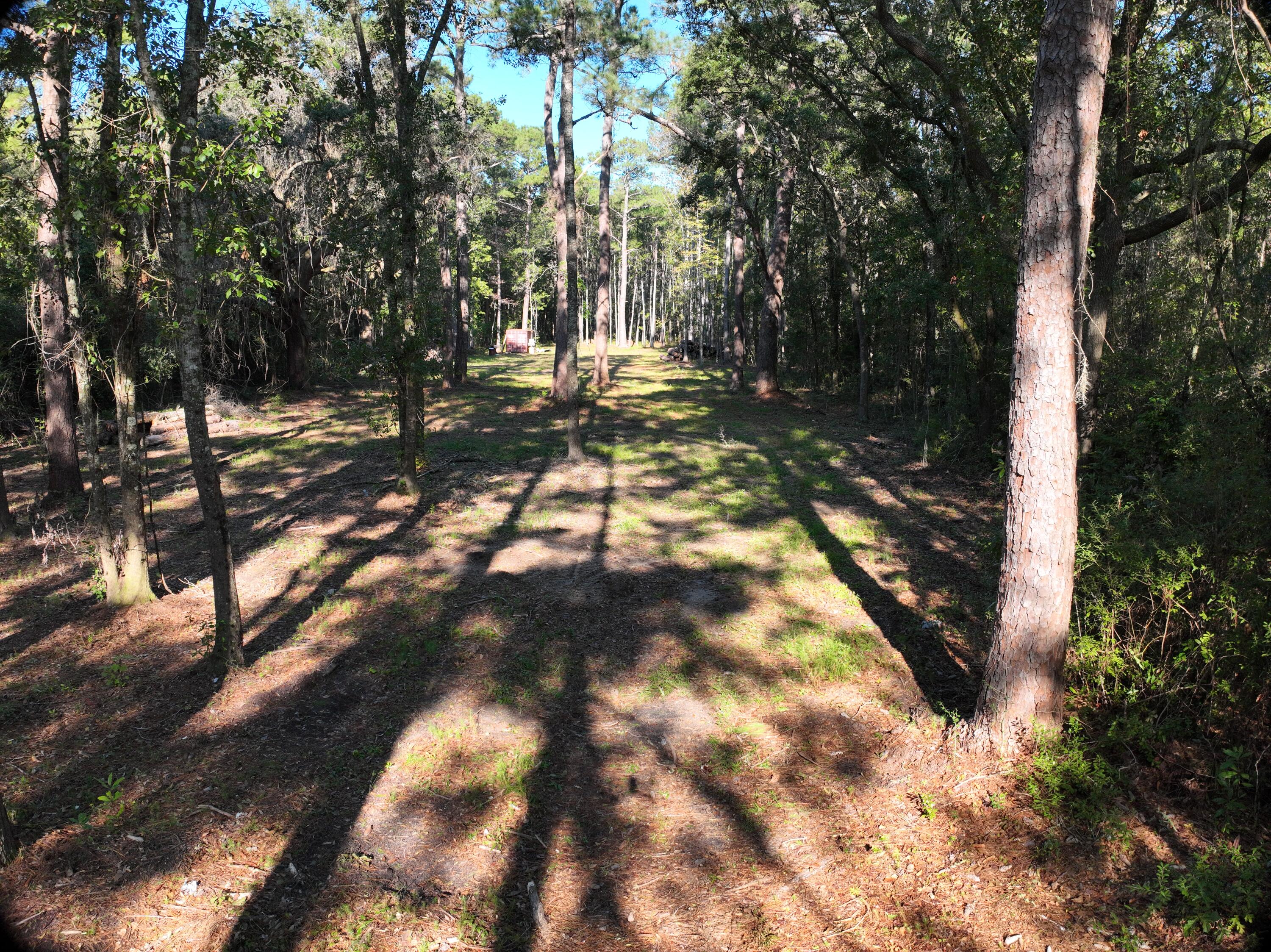 746 Dupre Road, McClellanville