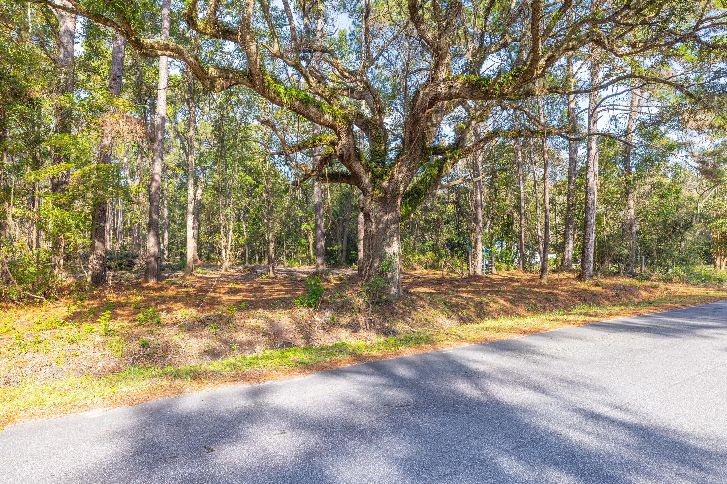 746 Dupre Road, McClellanville