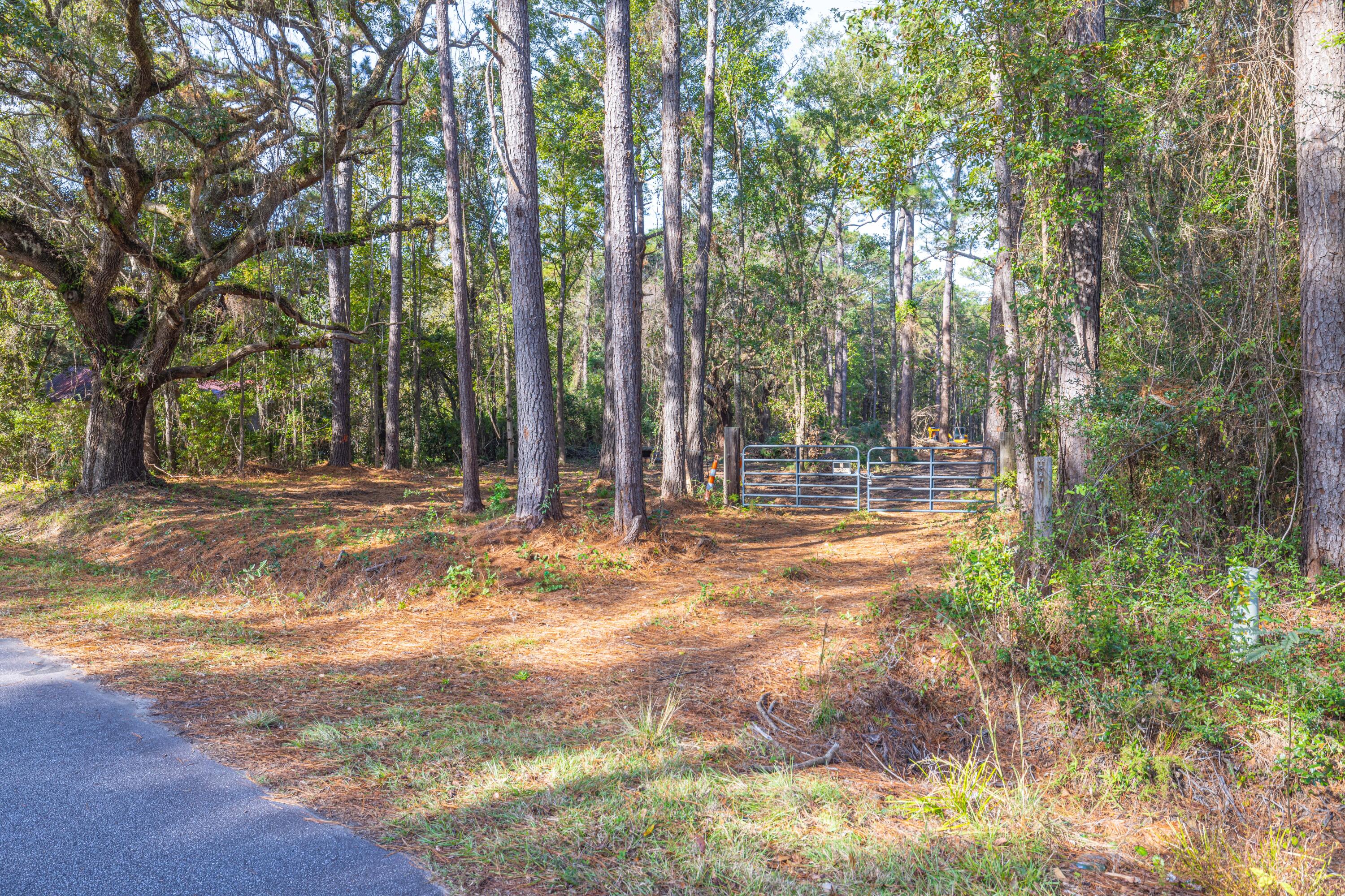 746 Dupre Road, McClellanville