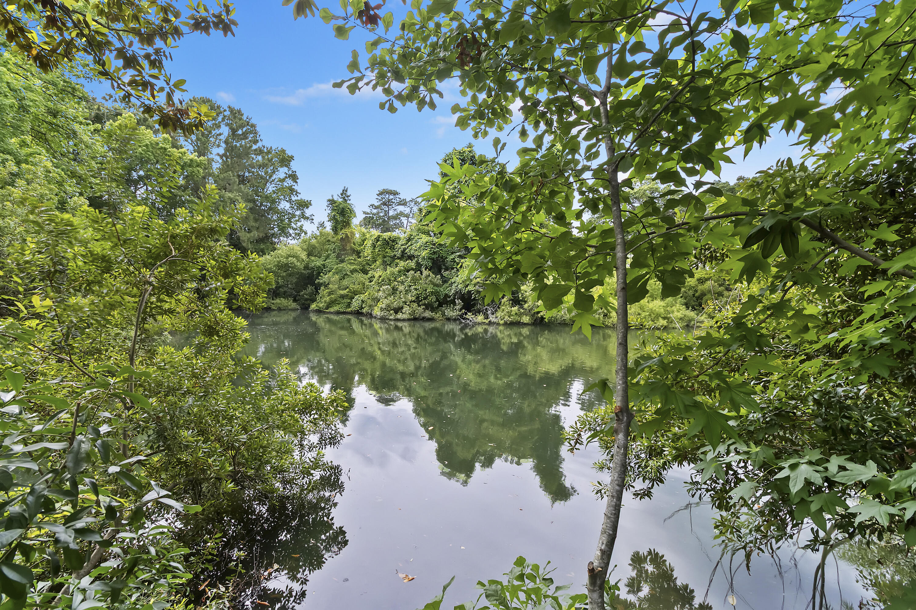 1245 Lakefront Drive Drive