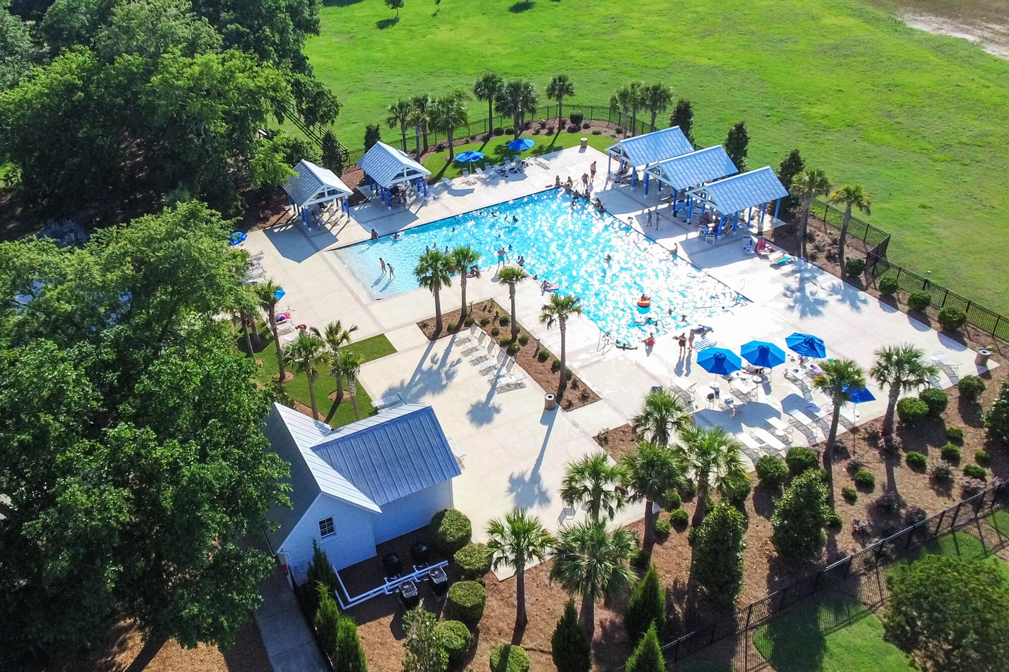 443 Coopers Hawk Drive