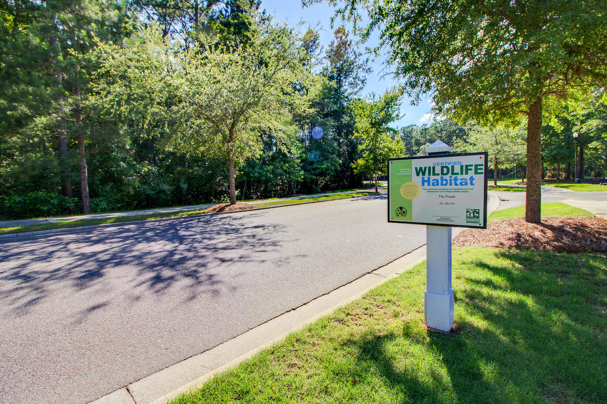 443 Coopers Hawk Drive
