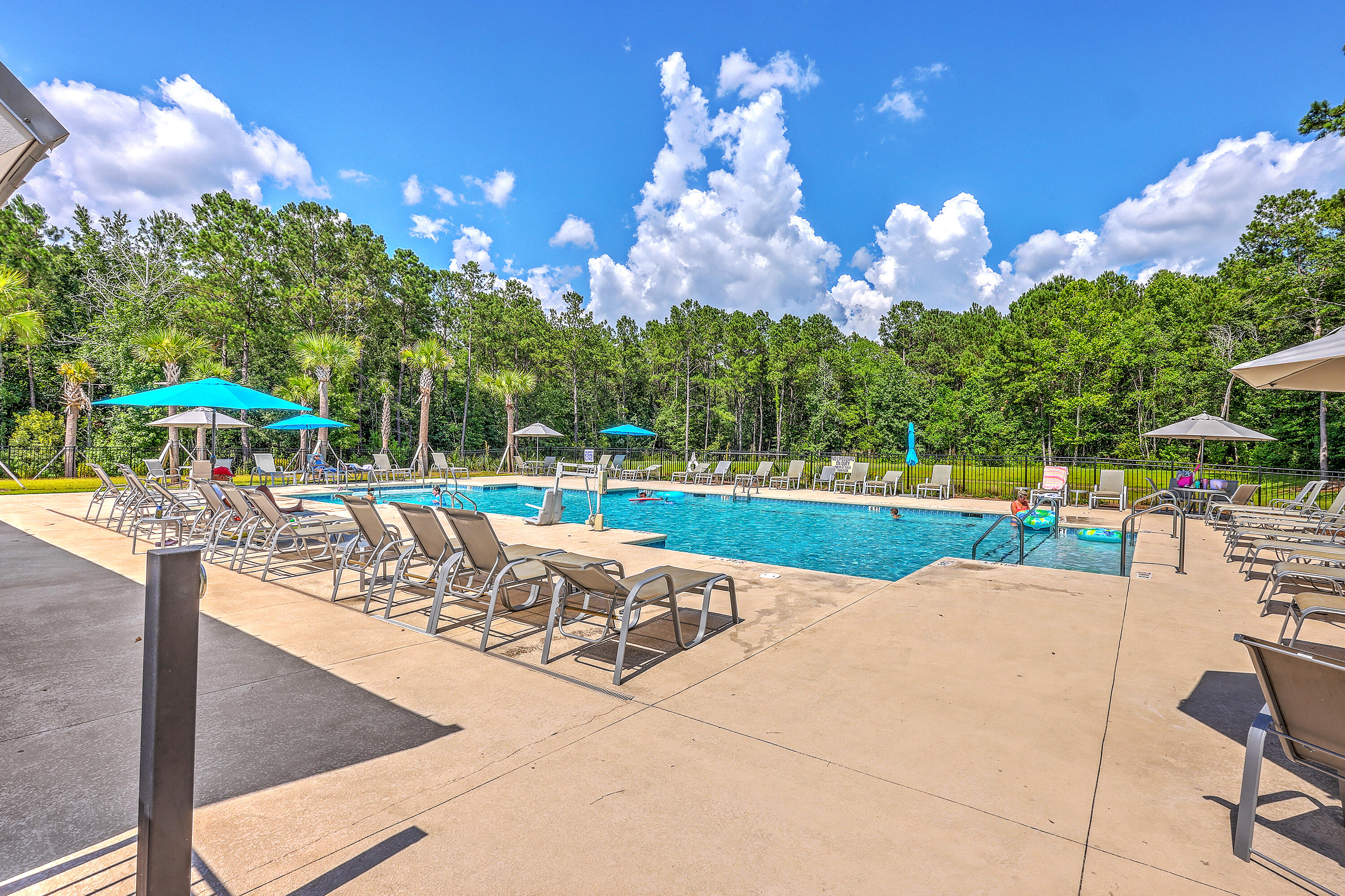 312 Cypress Knee Landing