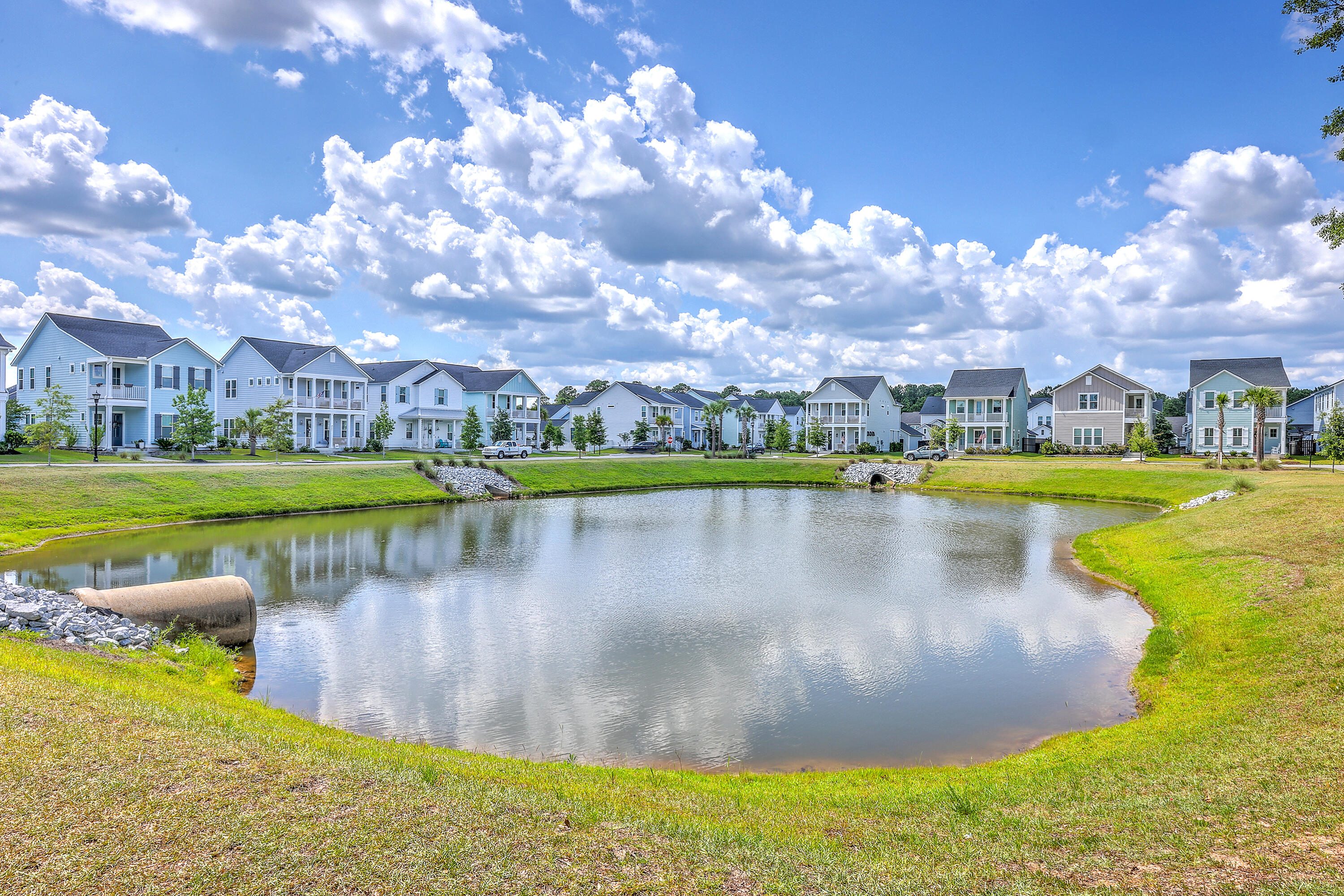 312 Cypress Knee Landing