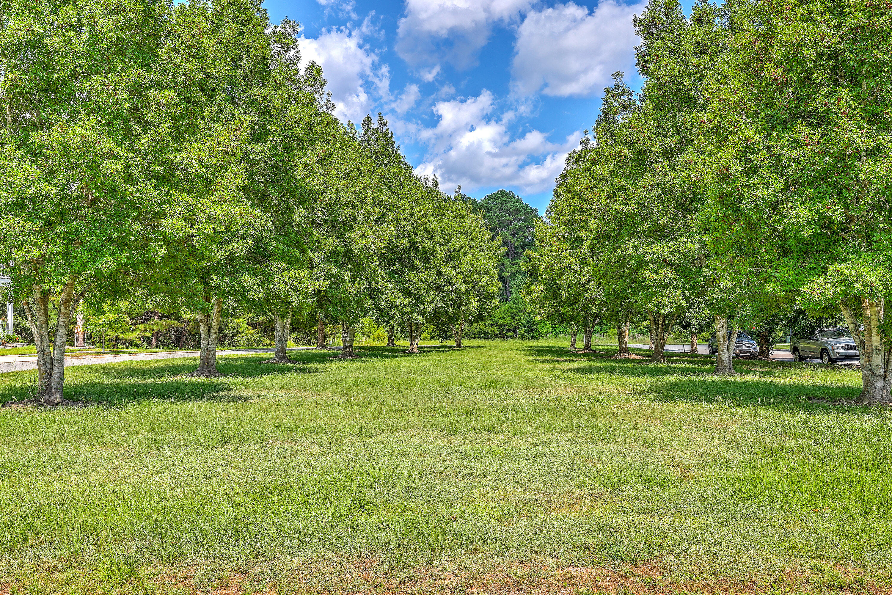 312 Cypress Knee Landing