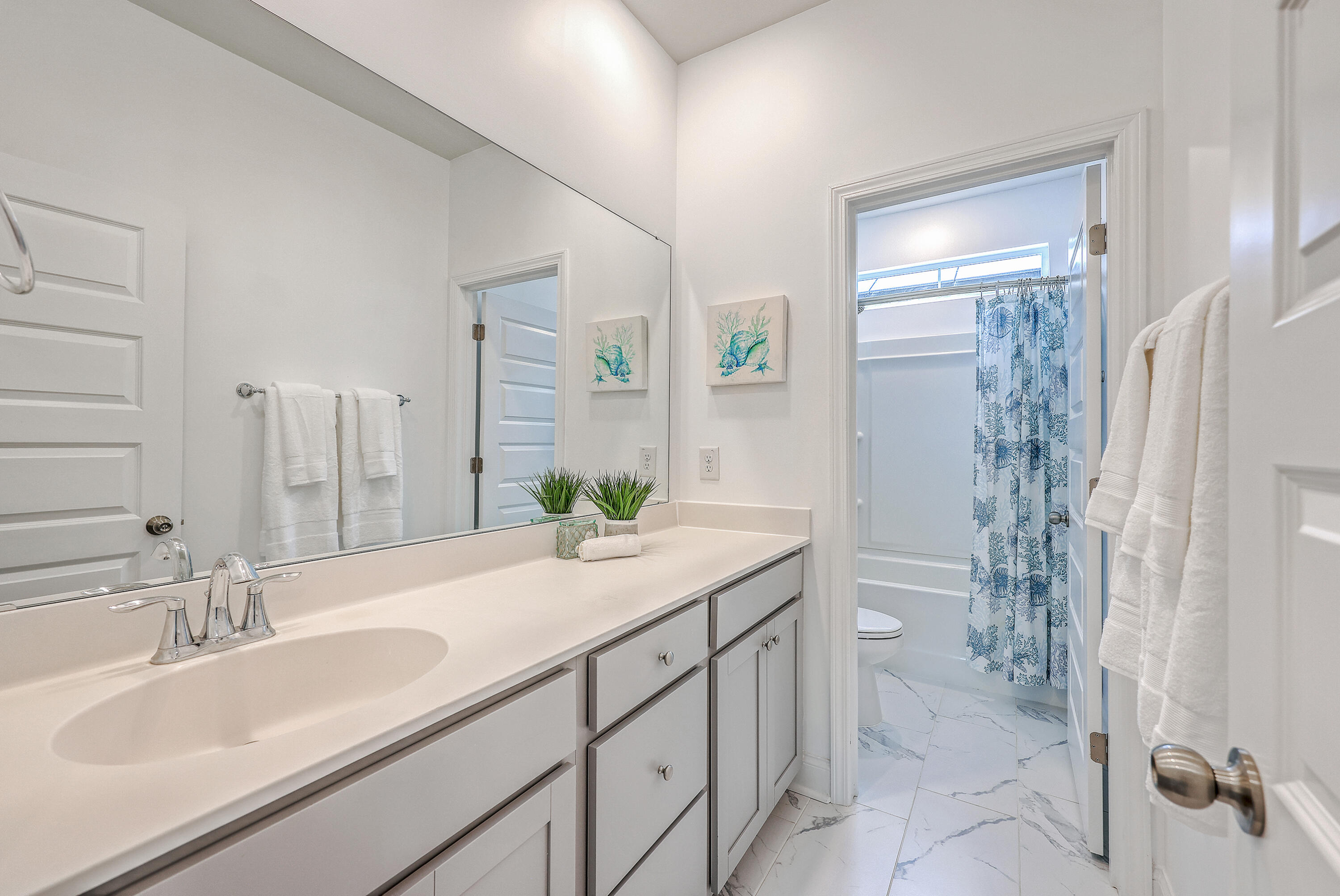 312 Cypress Knee Landing