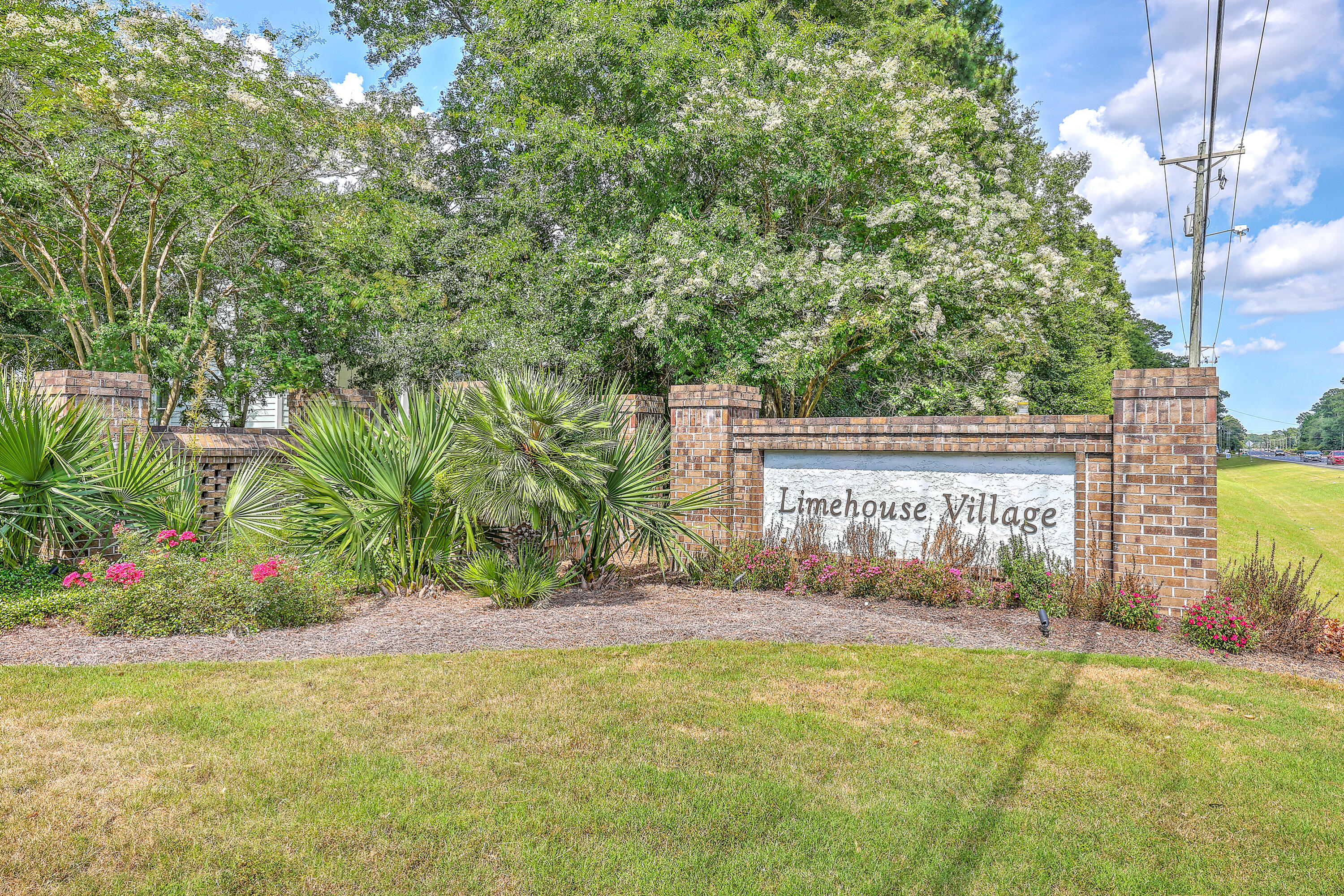 312 Cypress Knee Landing