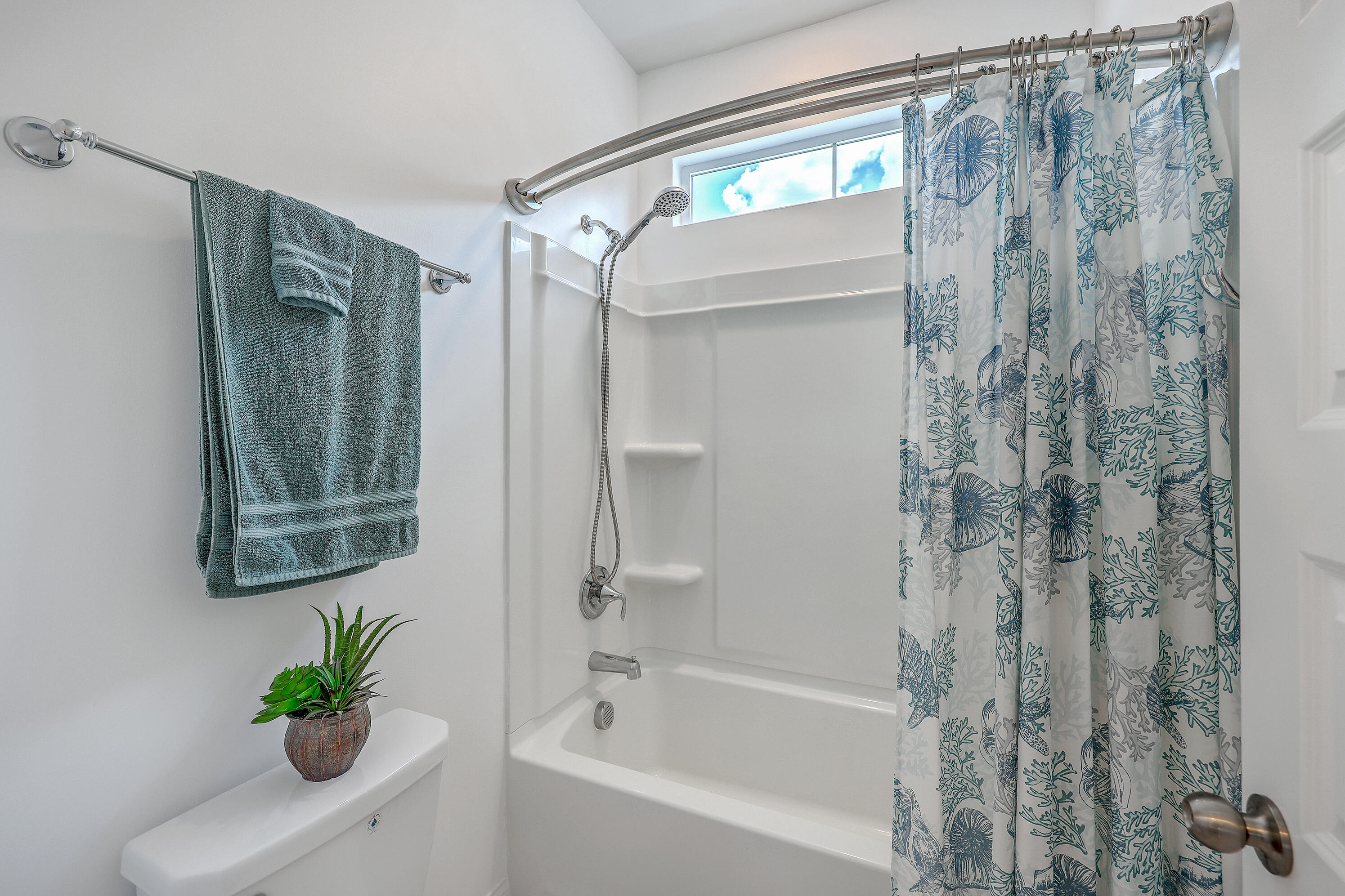 312 Cypress Knee Landing