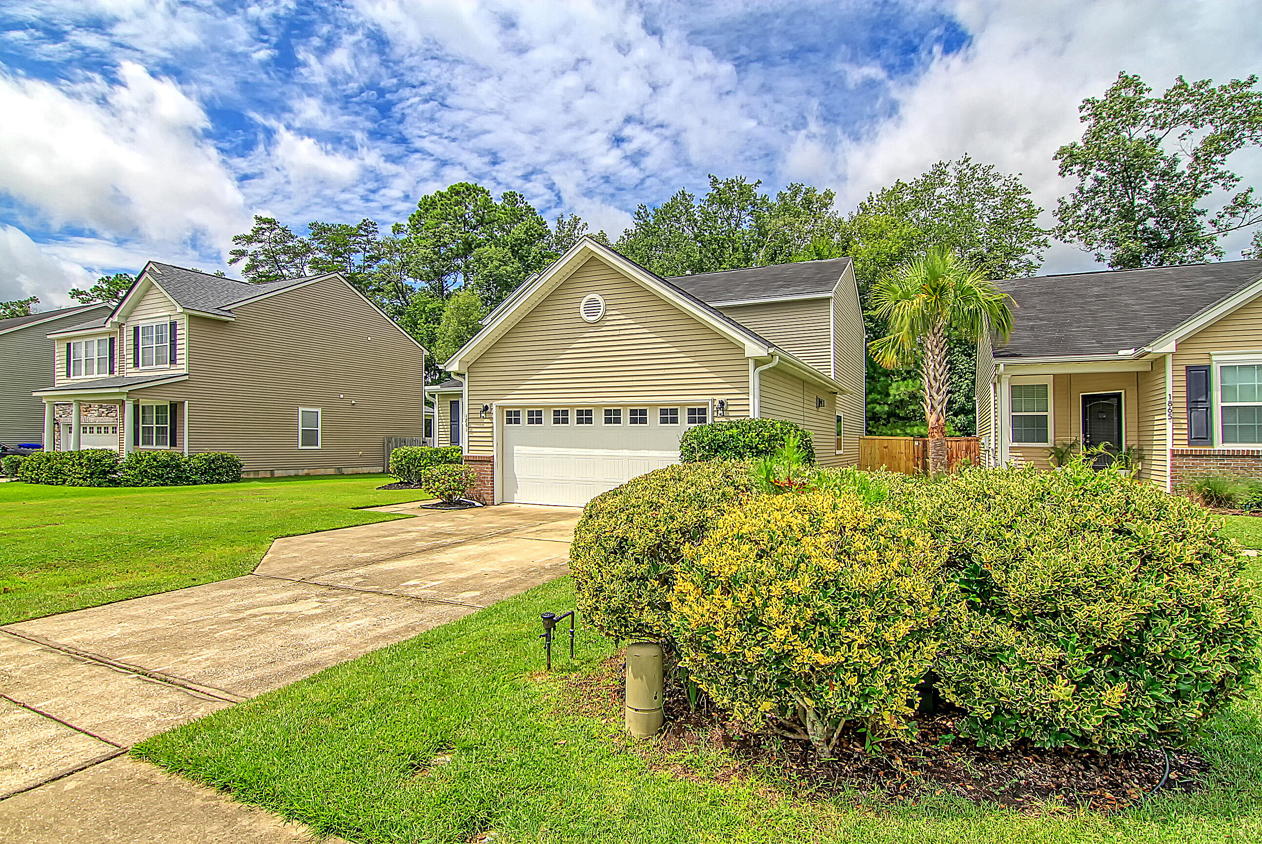 1861 Cornsilk Drive