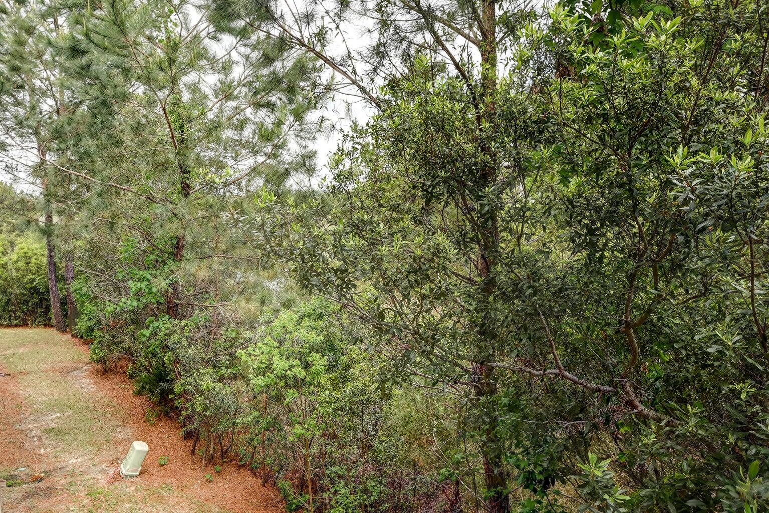 207 Winding River Drive