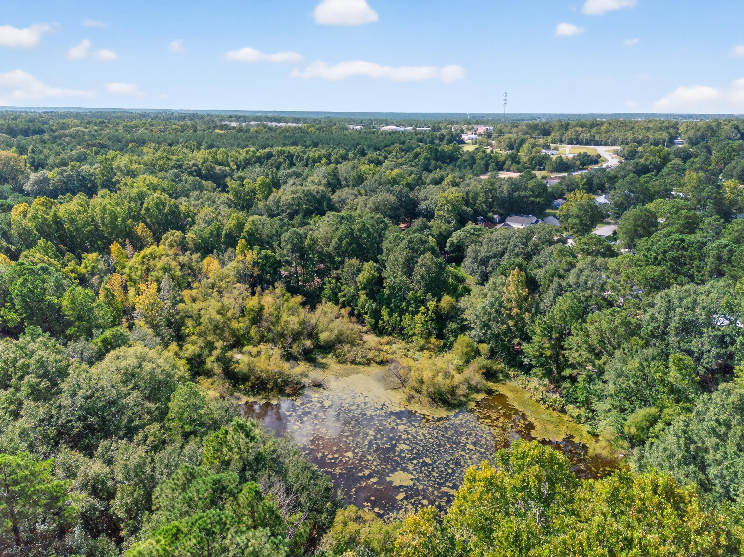 309 William Hardin Road