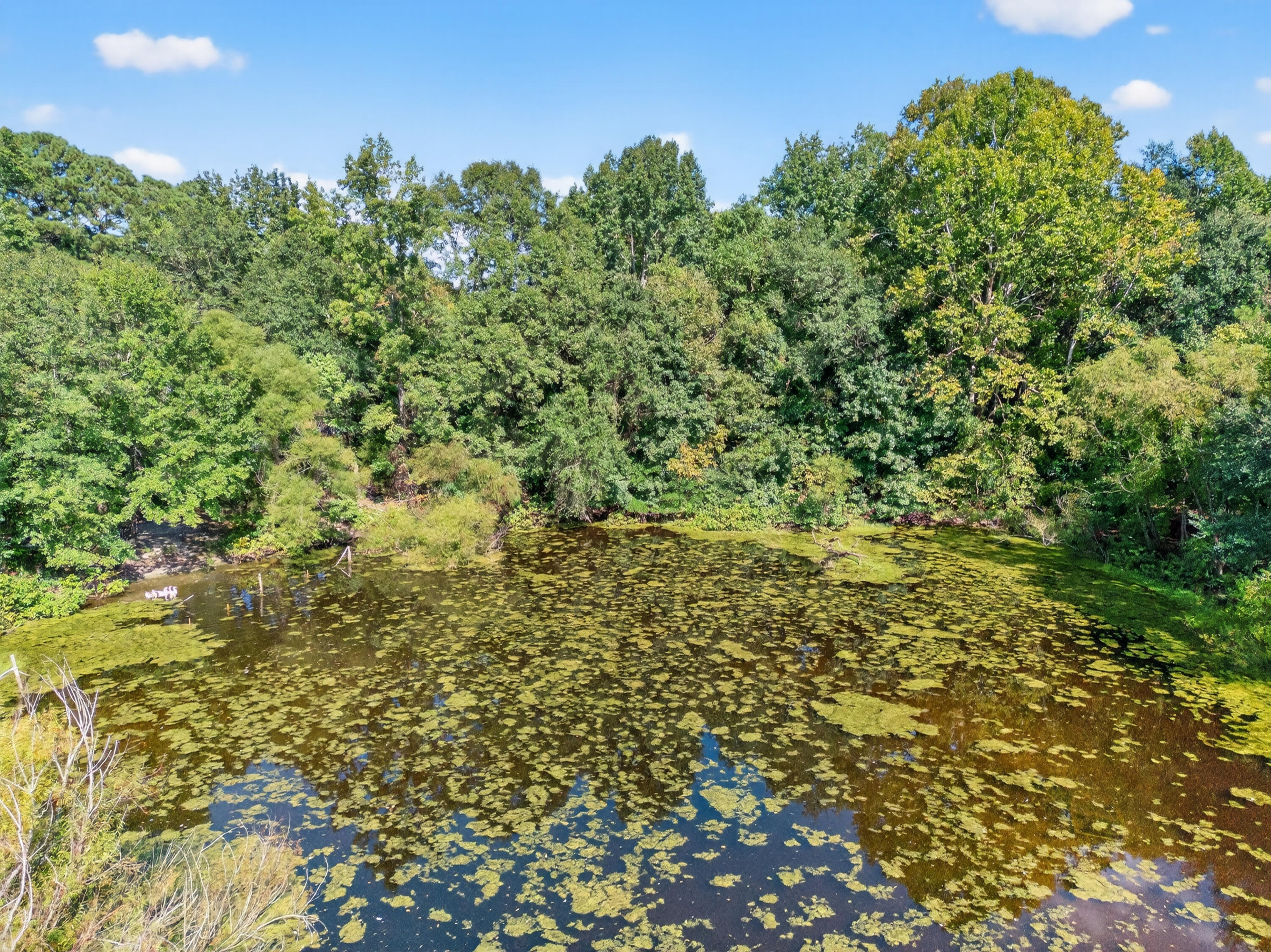 309 William Hardin Road