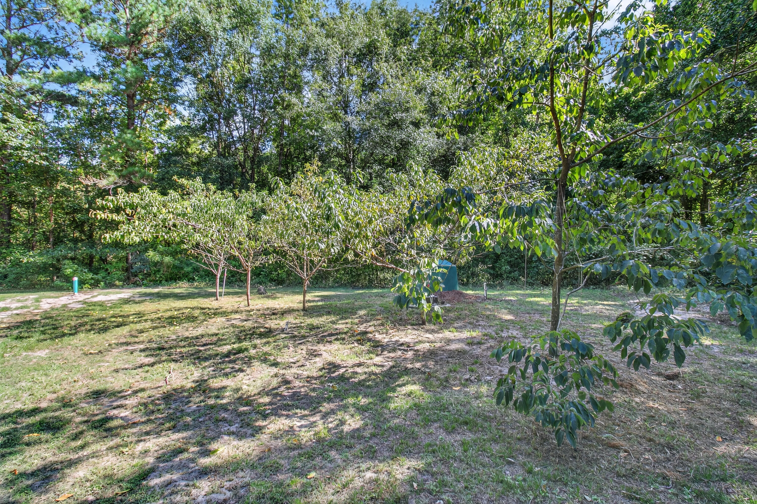 309 William Hardin Road