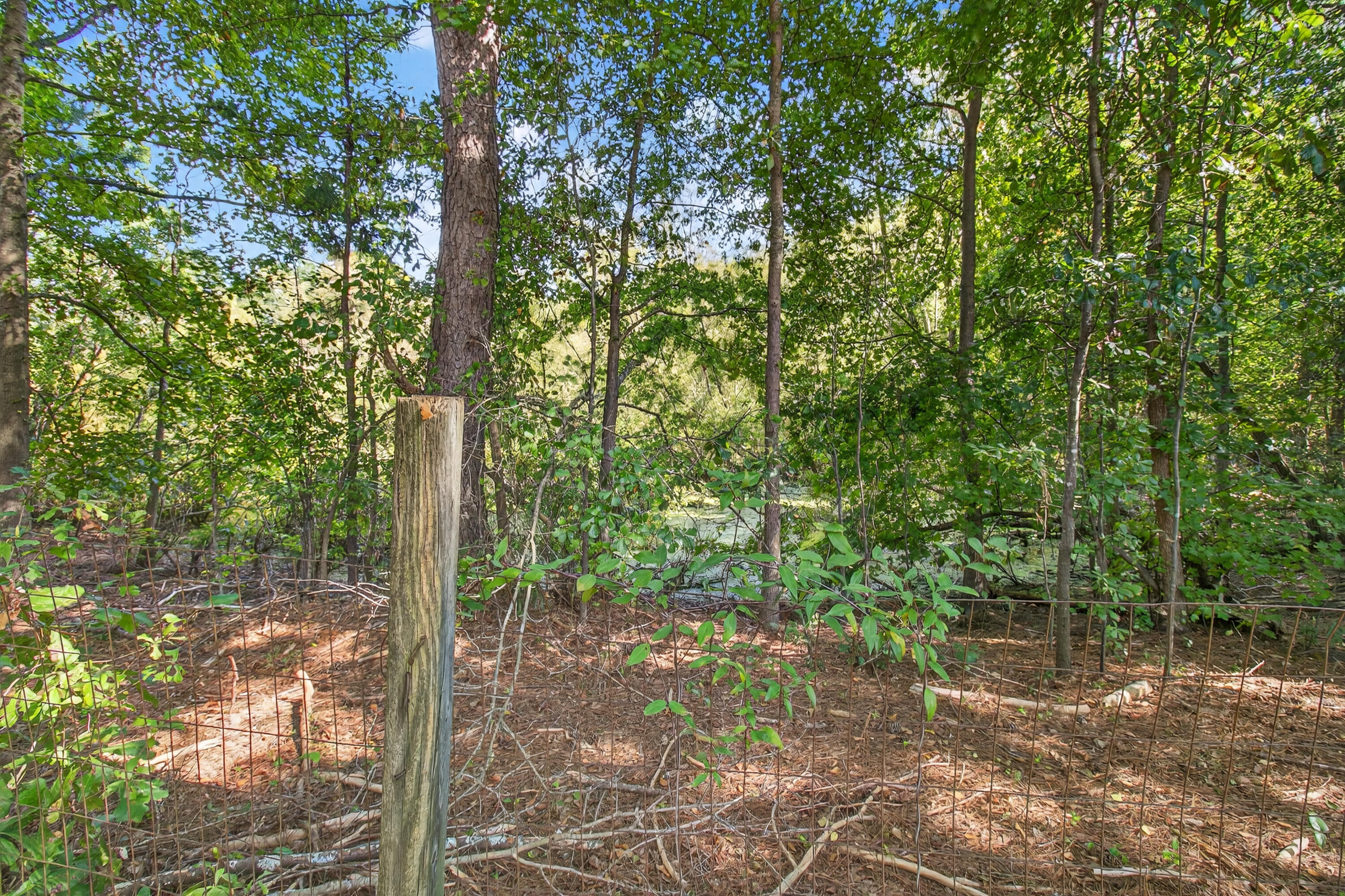 309 William Hardin Road