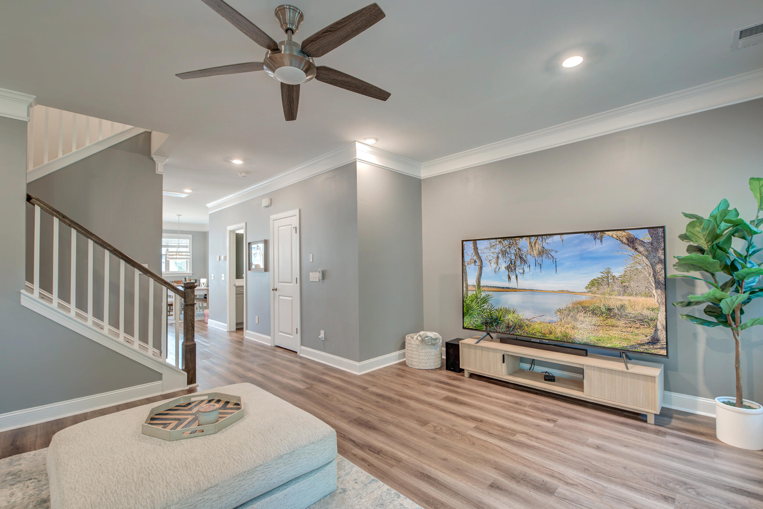 315 Laurens View Lane