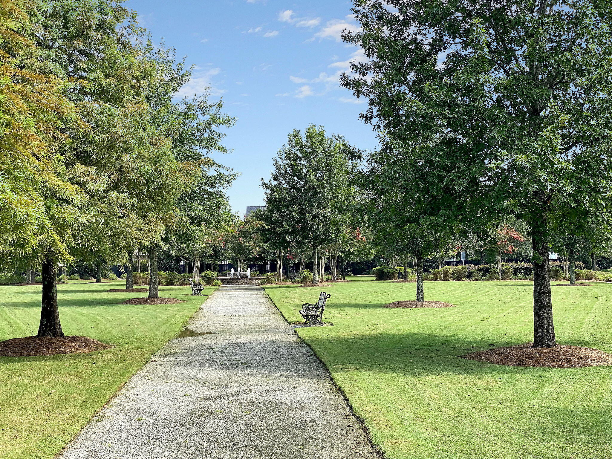 174 Callibluff Drive