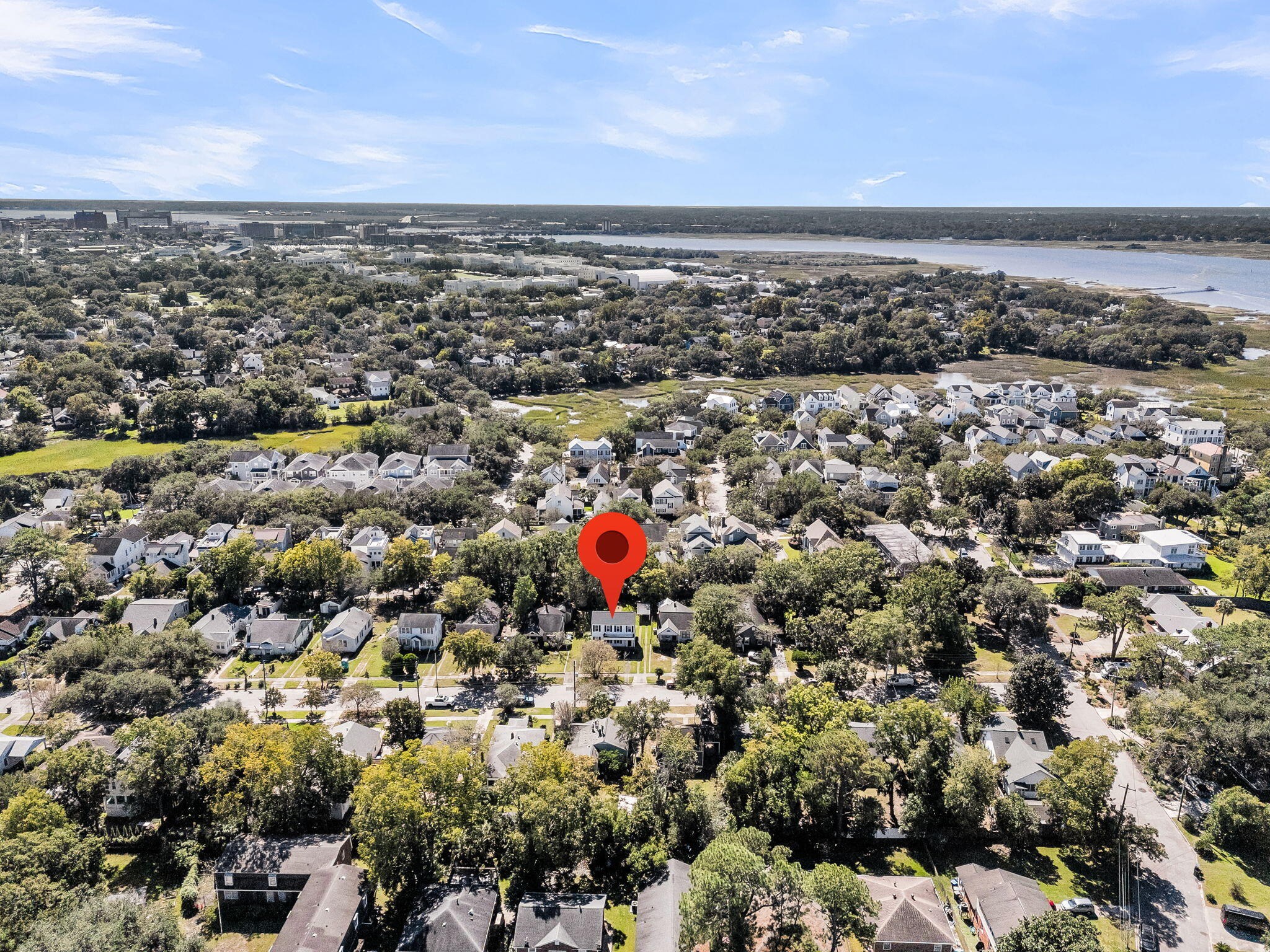 251 W Poplar Street, Charleston