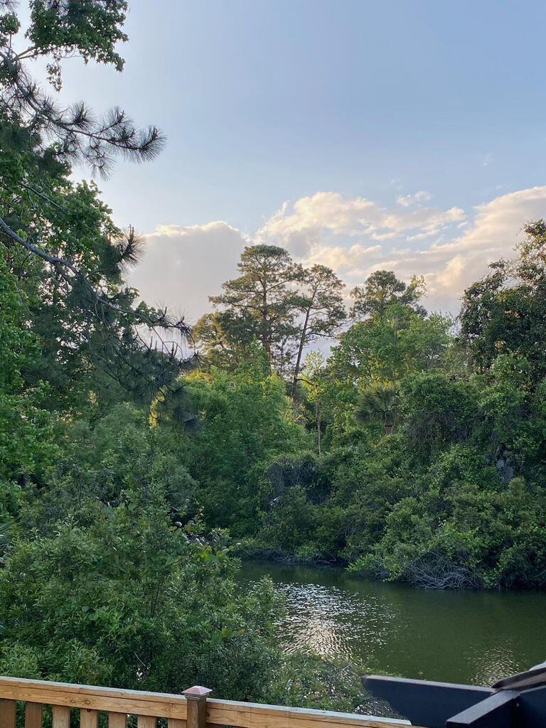 1245 Lakefront Drive, Charleston