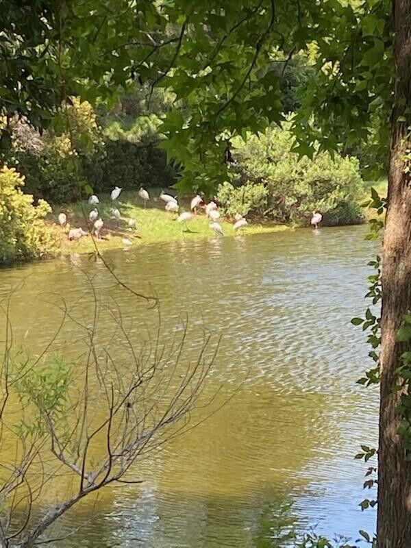 1245 Lakefront Drive, Charleston