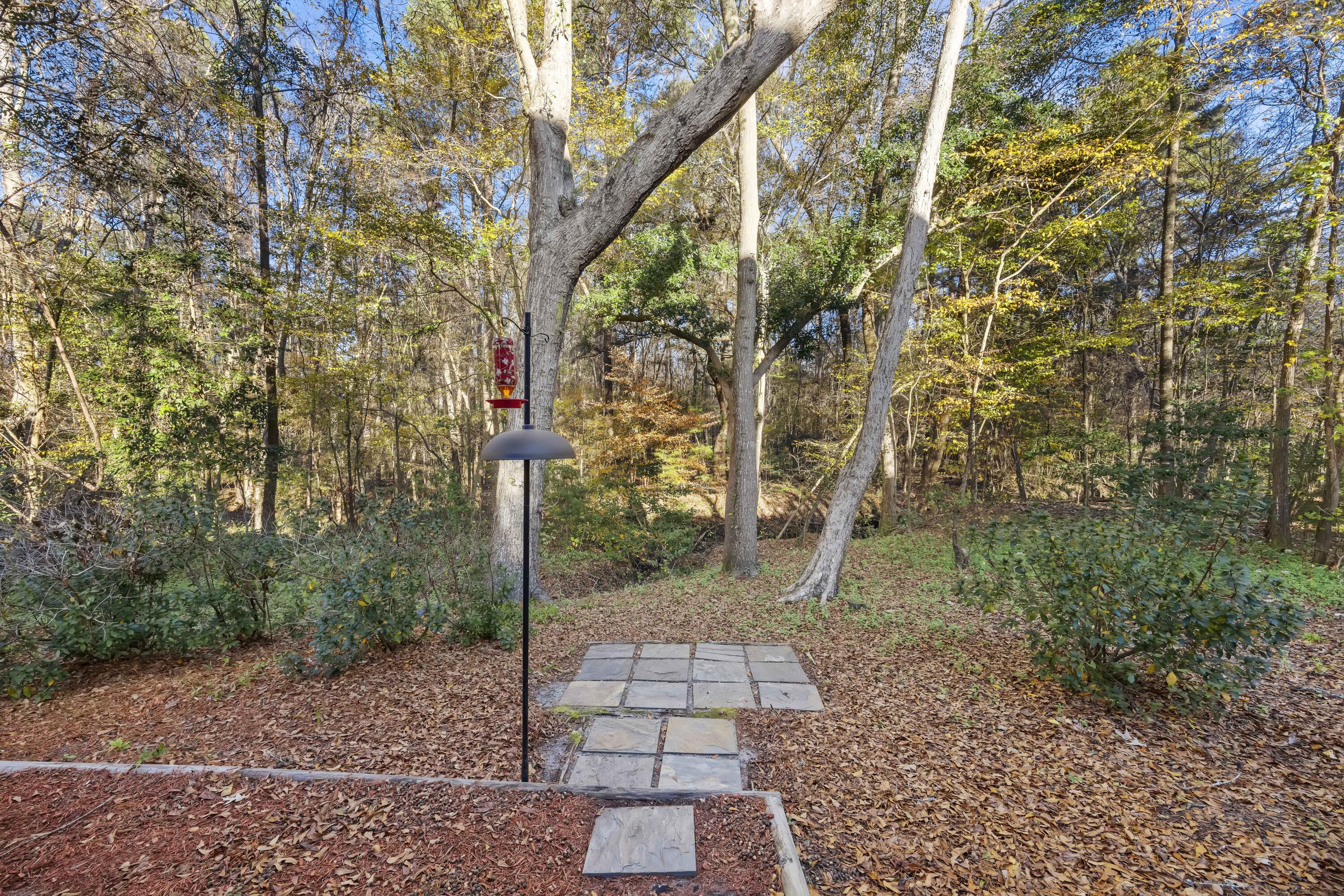 3031 Ellington Drive