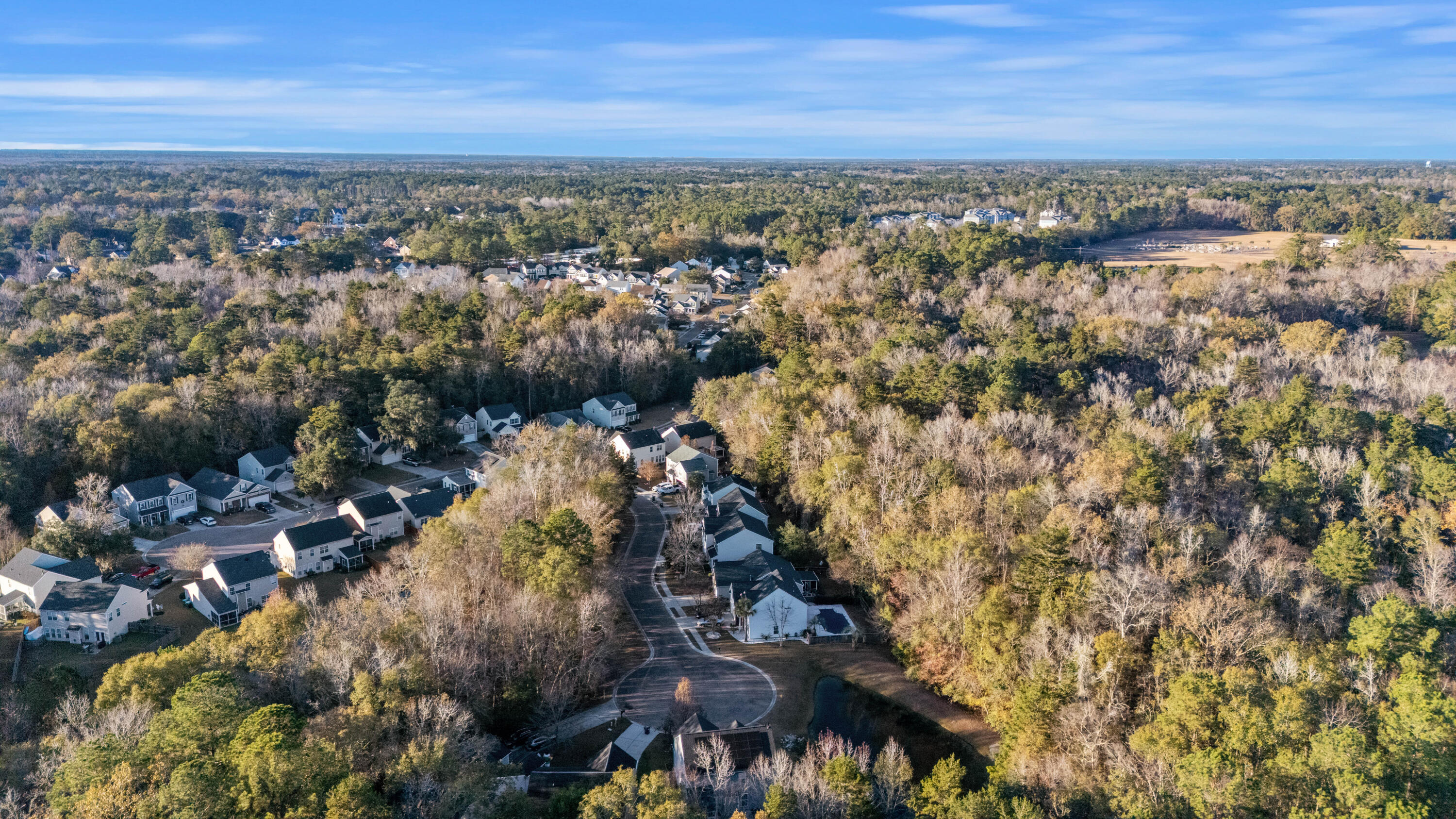 3031 Ellington Drive