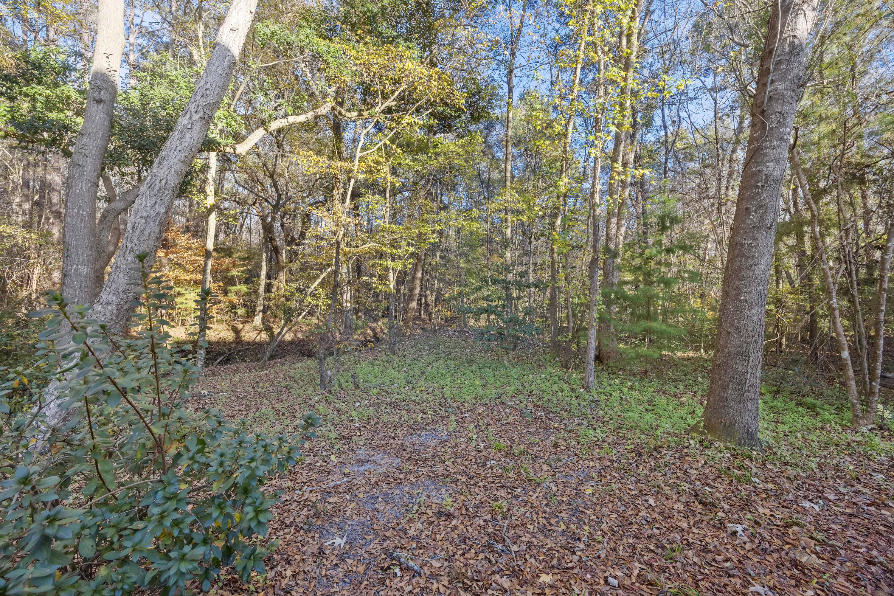 3031 Ellington Drive