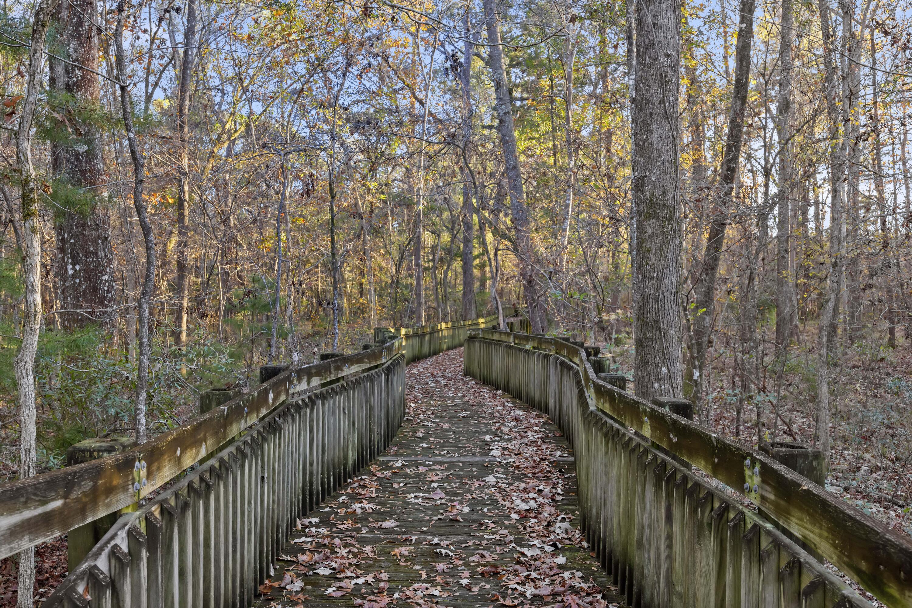 3031 Ellington Drive