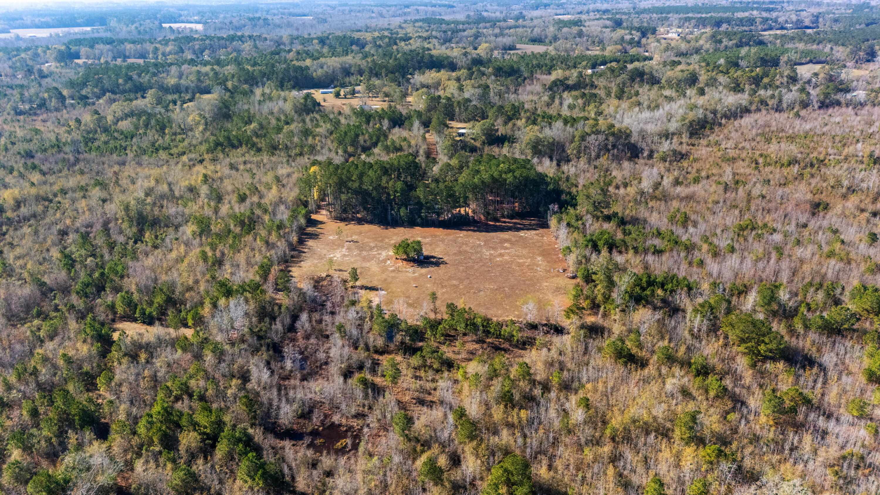 000 Primus Drive