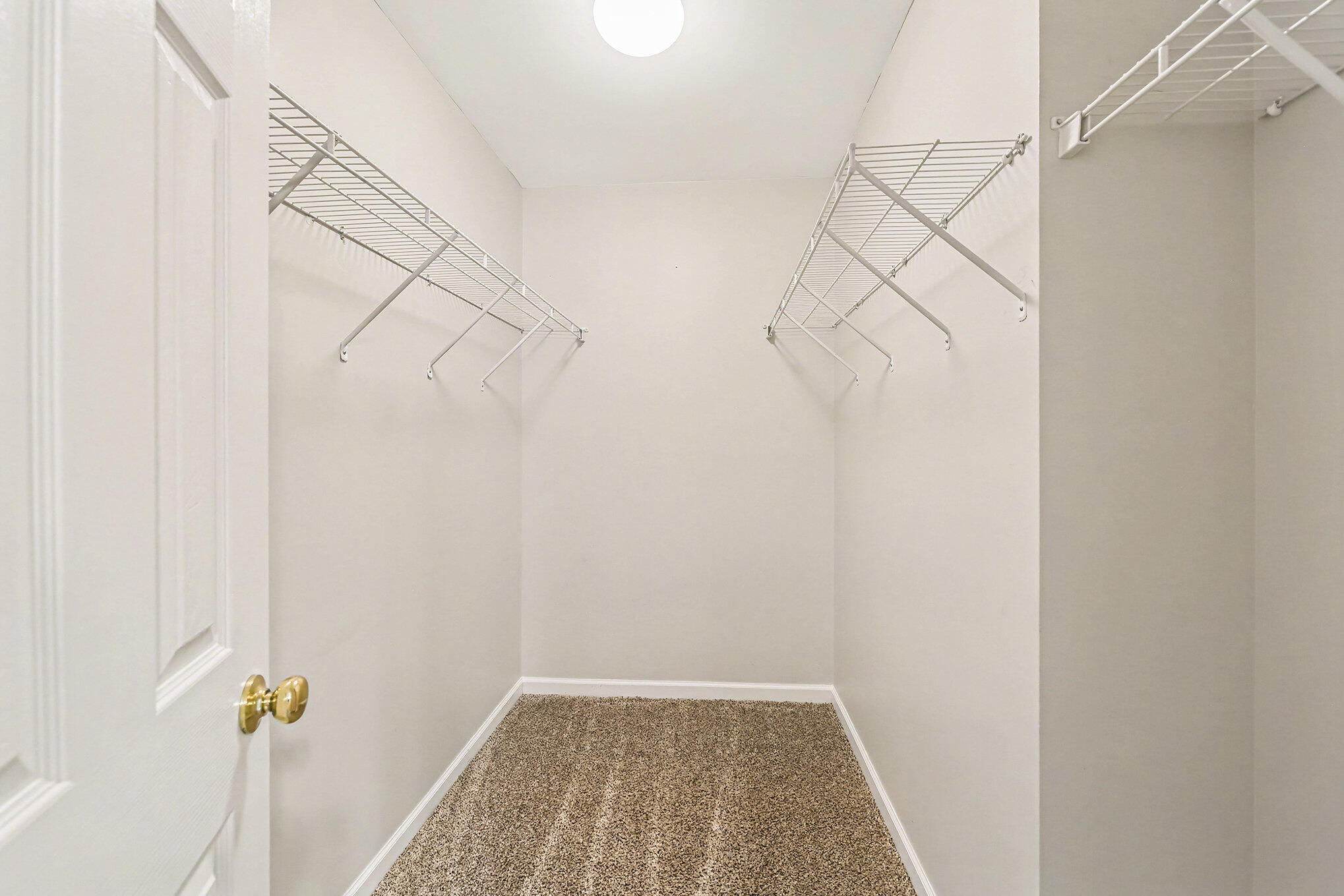 227 Sparkleberry Lane