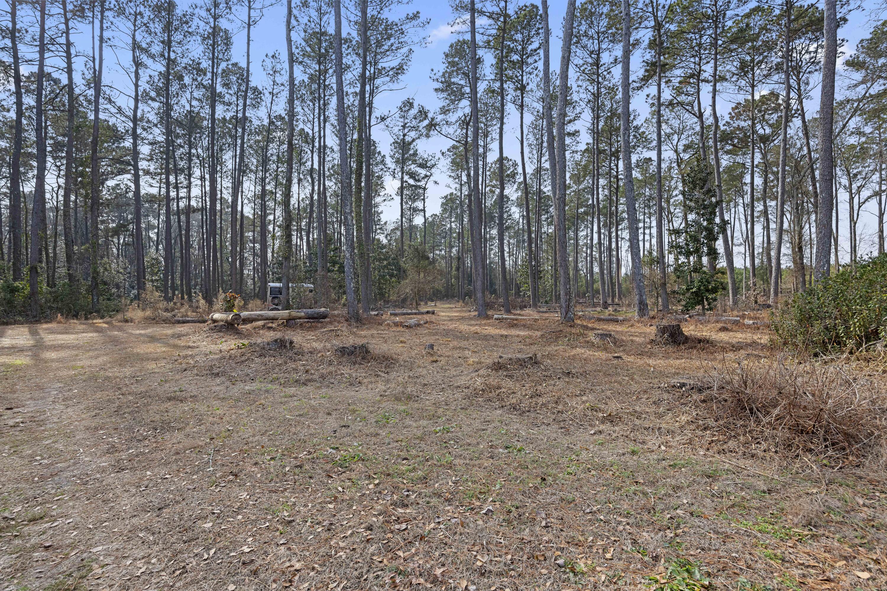 6293 Ehrhardt Road