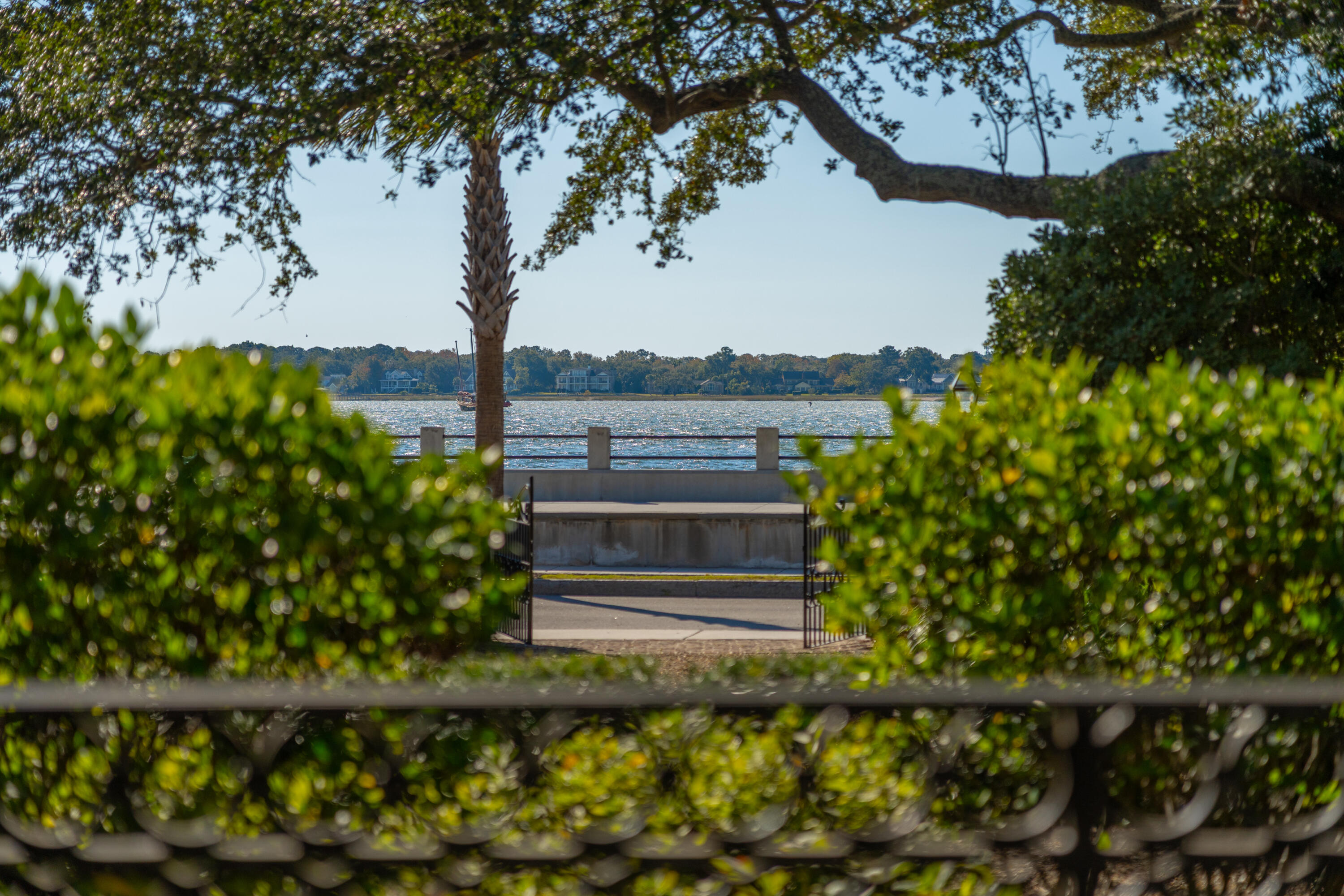 14 1/2 Murray Boulevard