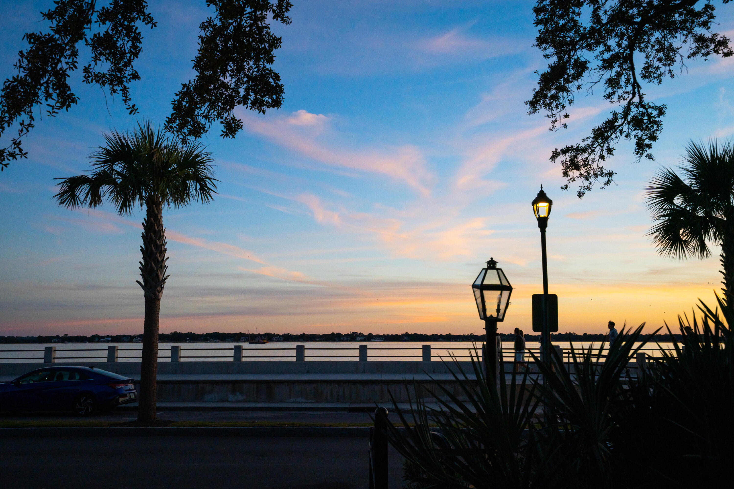 14 1/2 Murray Boulevard