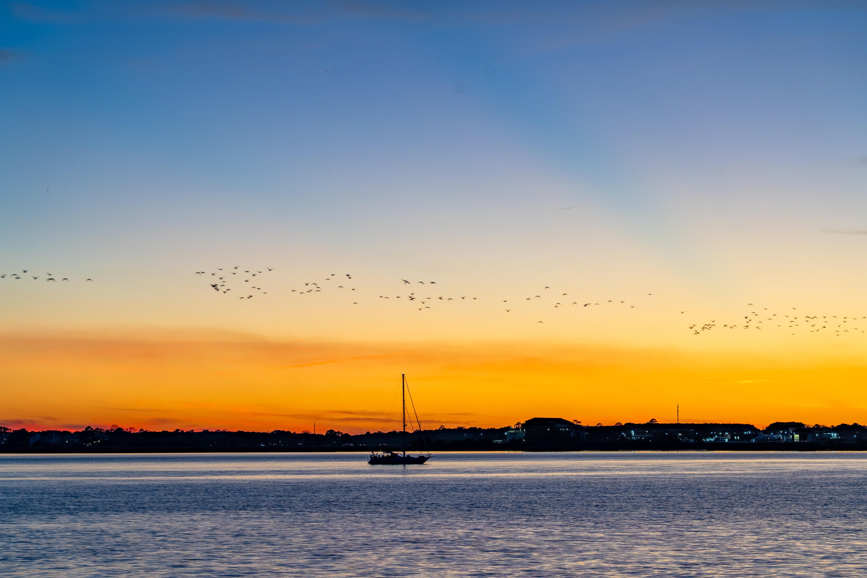 14 1/2 Murray Boulevard