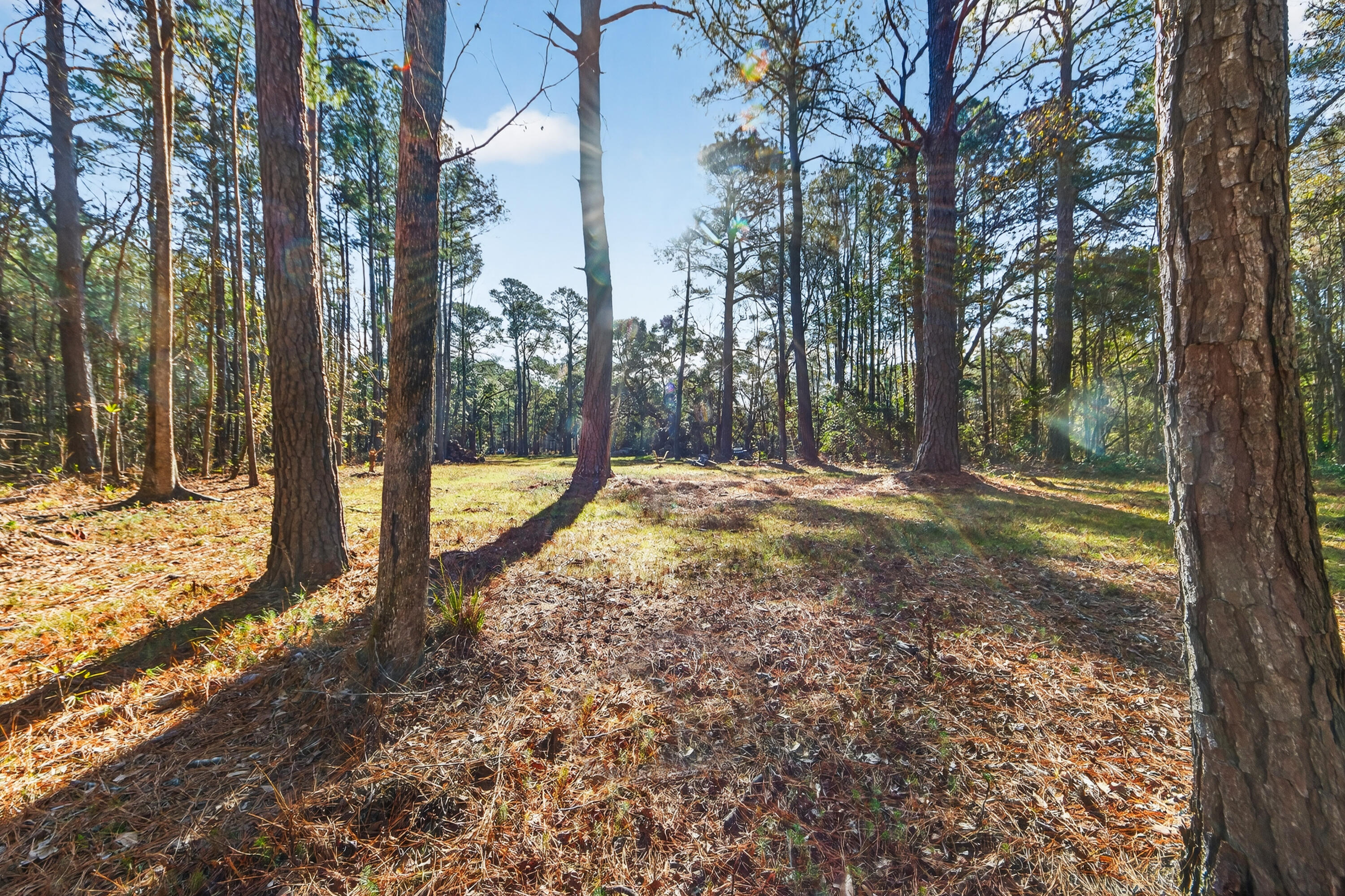 0 Dupre Road, McClellanville