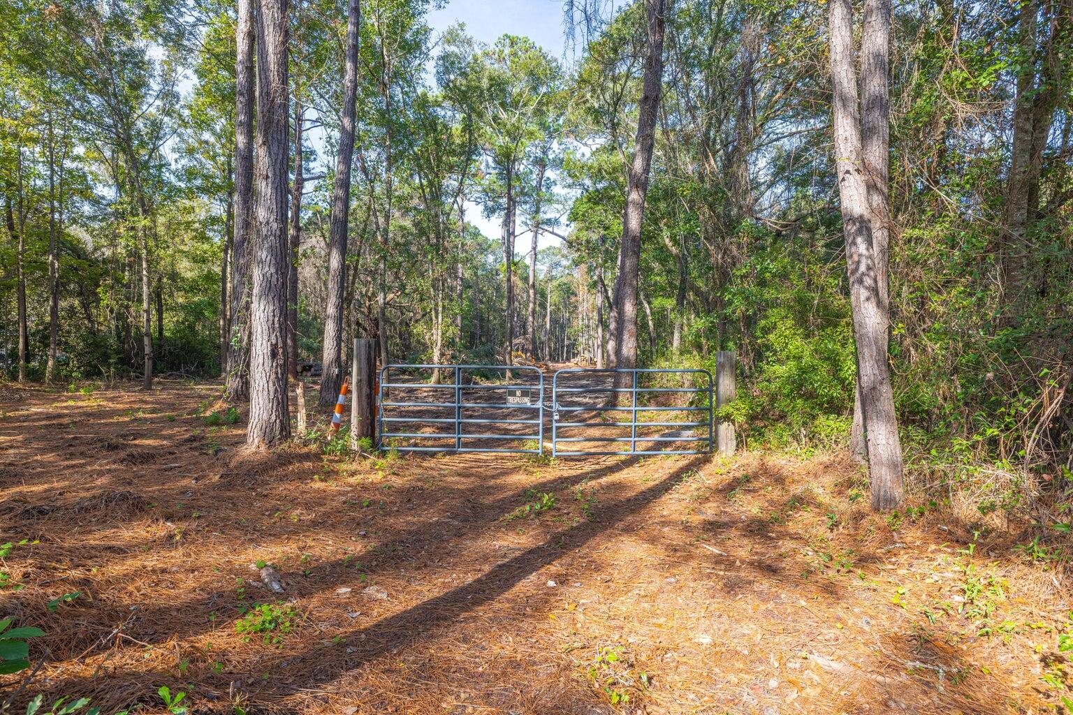 0 Dupre Road, McClellanville